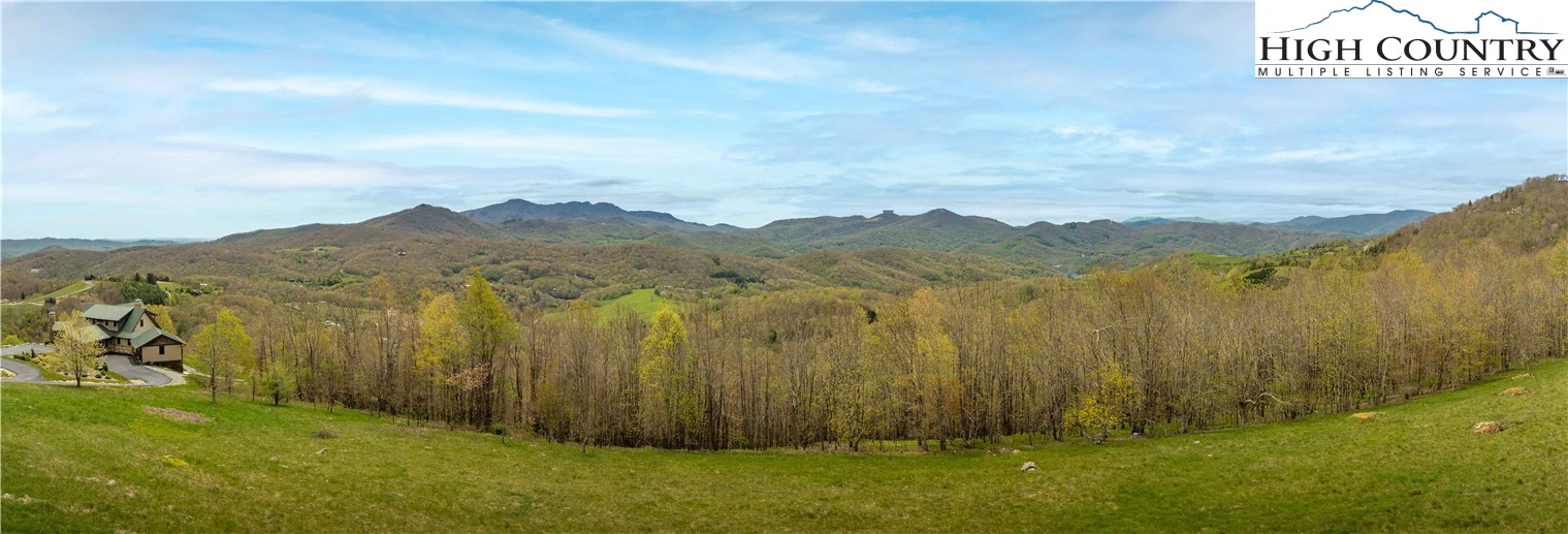 Image number 10 for the current listing