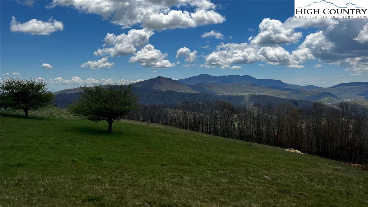 Image number 7 for the current listing