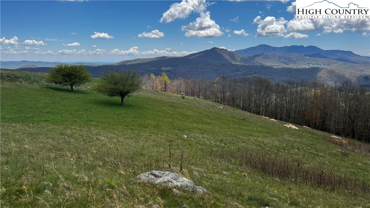 Image number 11 for the current listing