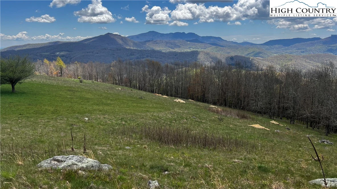 Image number 2 for the current listing