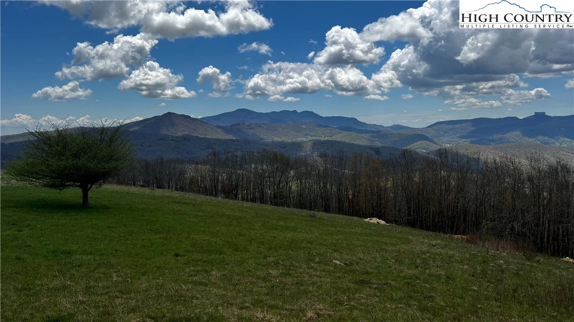 Image number 4 for the current listing