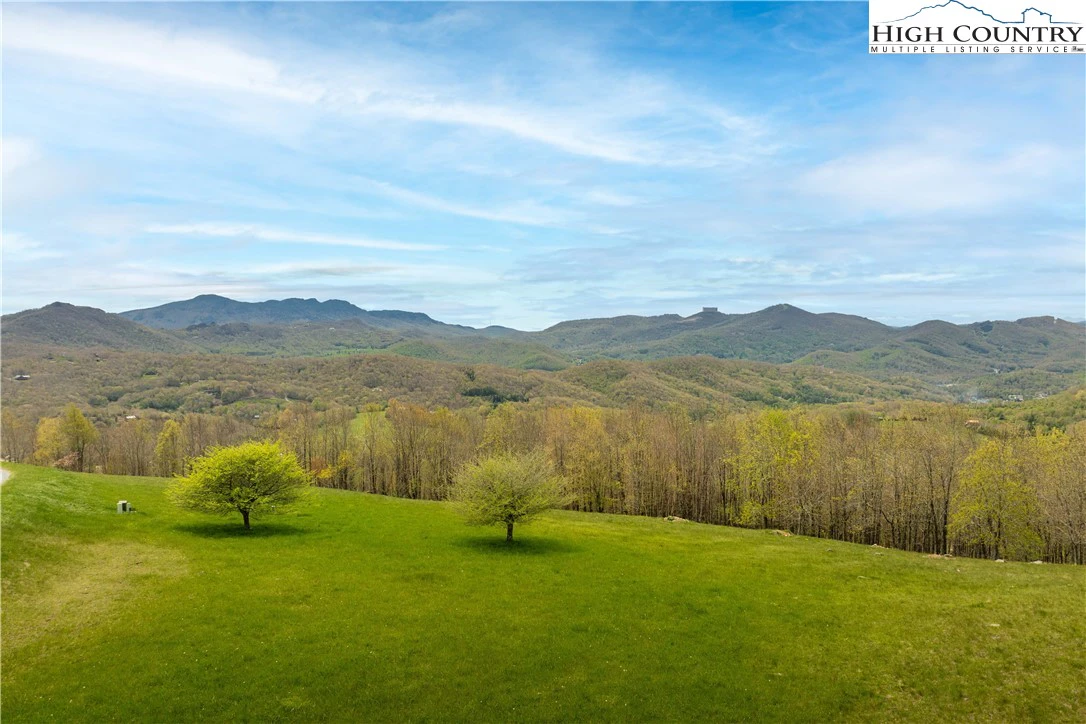 Image number 21 for the current listing