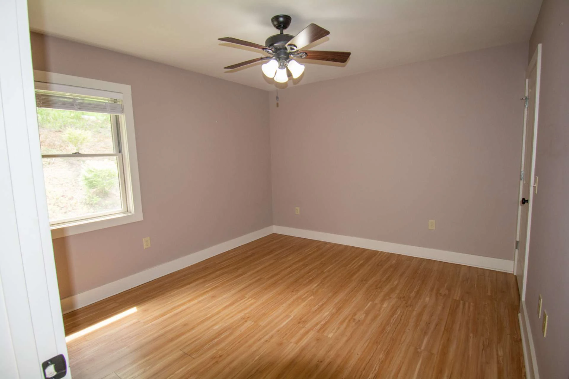 Image number 13 for the current listing