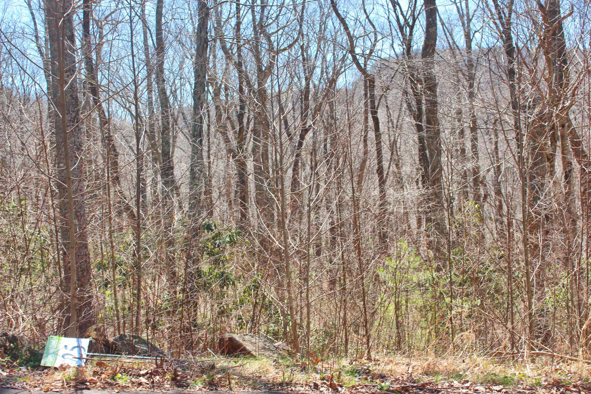 Image number 3 for the current listing