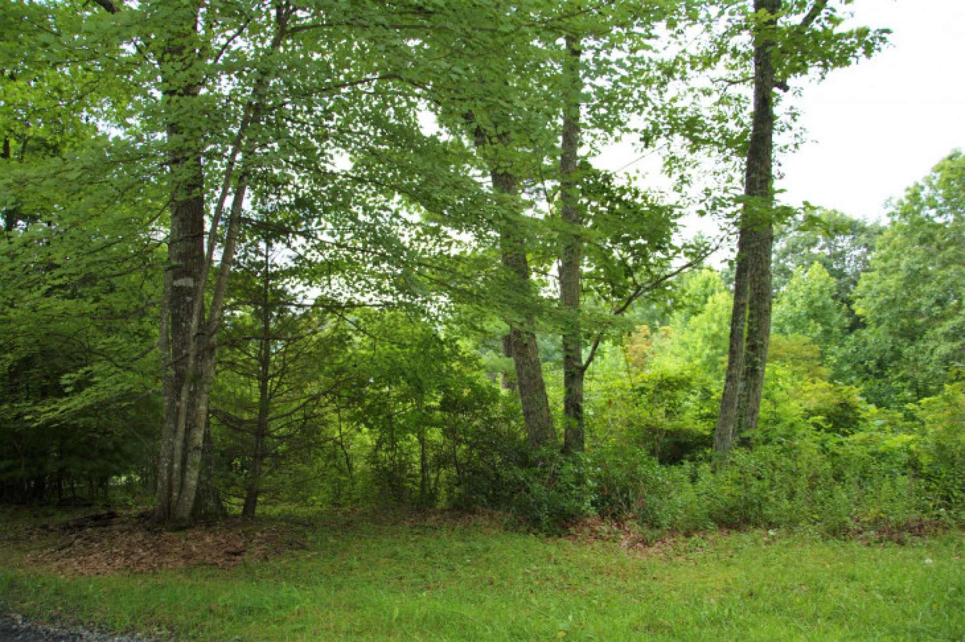 Image number 2 for the current listing
