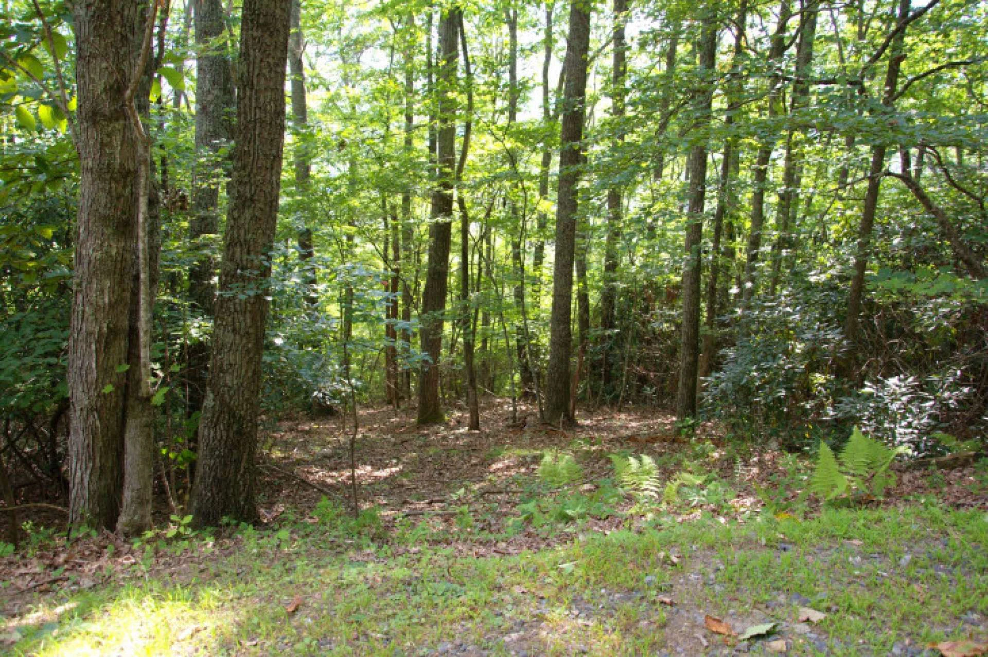 Image number 3 for the current listing