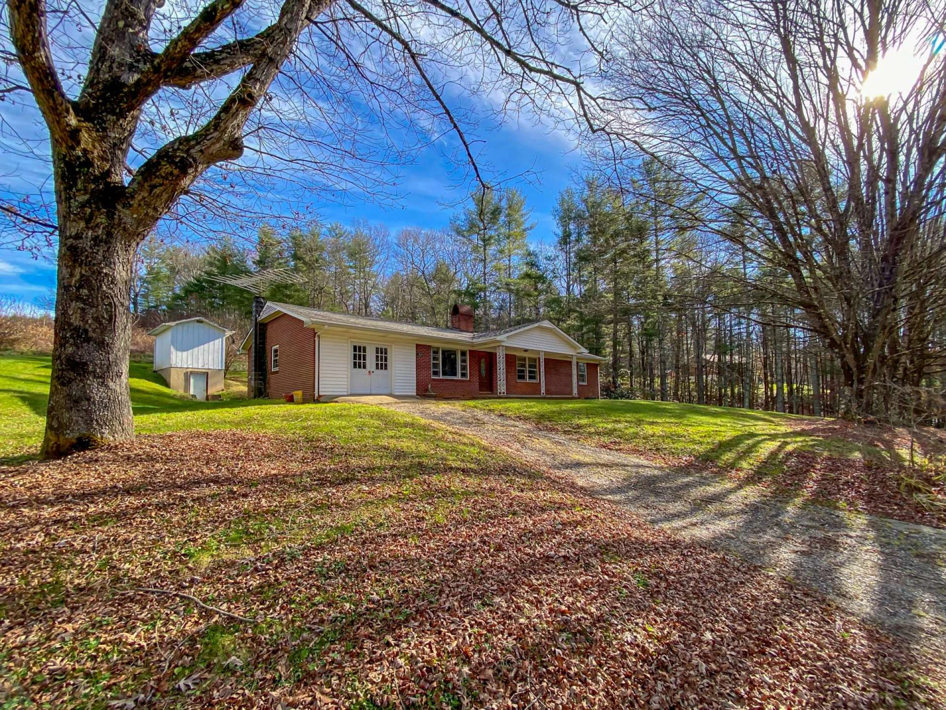 Image number 17 for the current listing