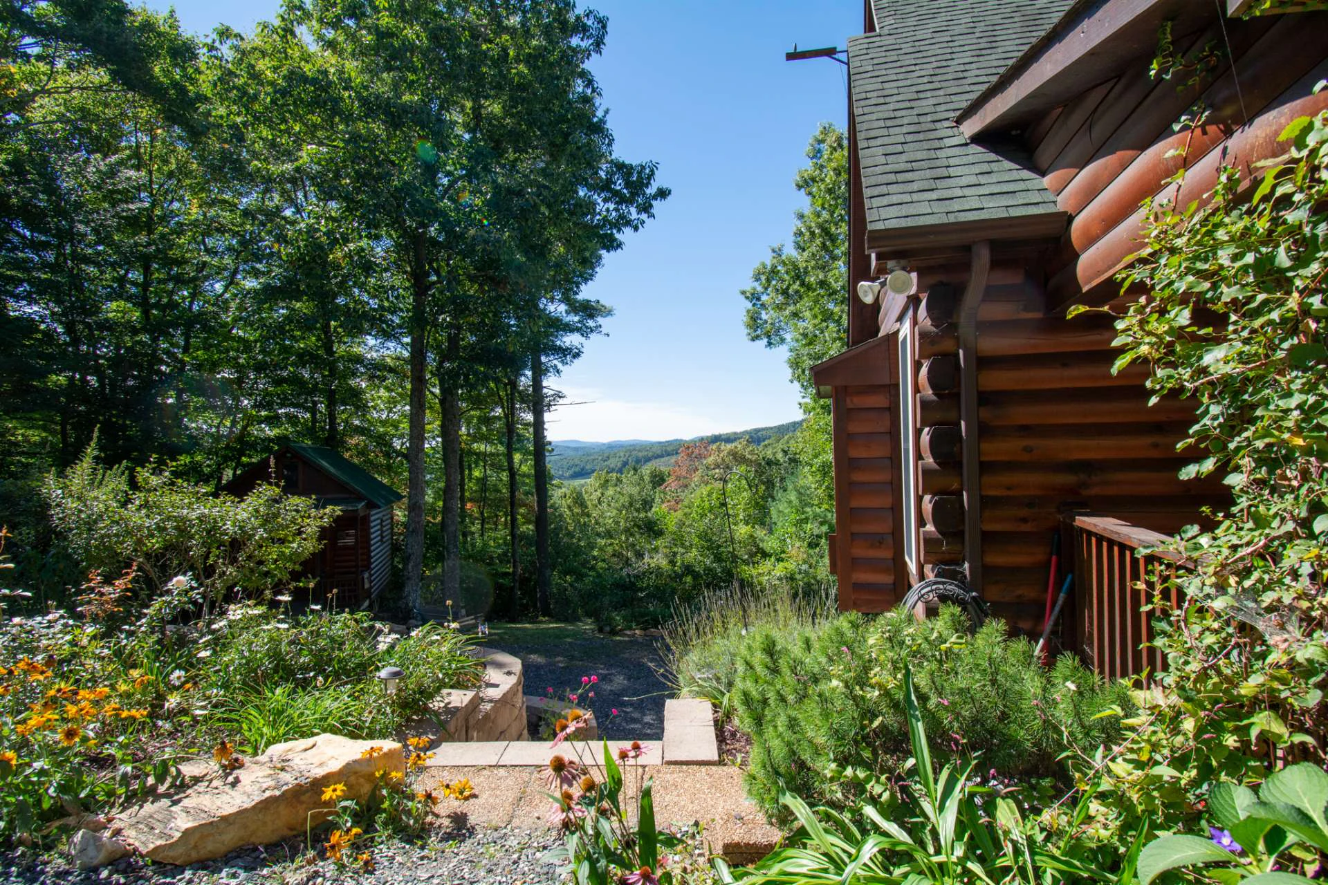 Image number 12 for the current listing
