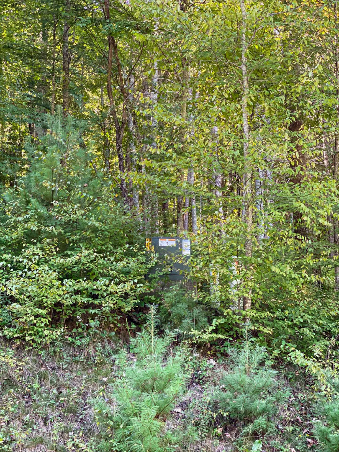 Image number 3 for the current listing