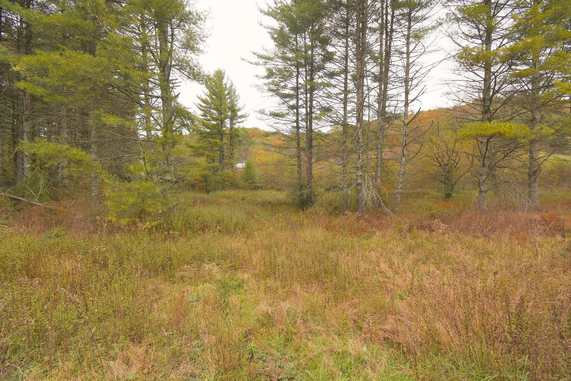 Image number 3 for the current listing