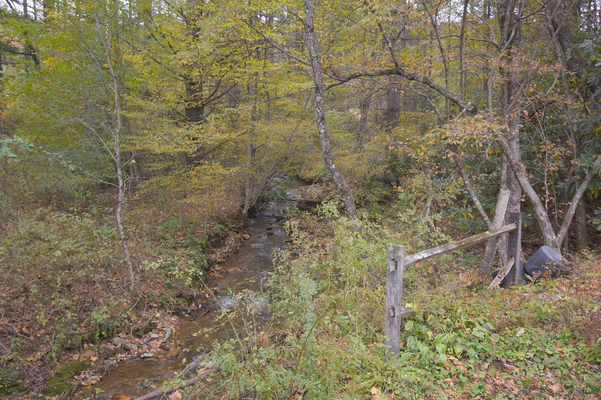 Image number 4 for the current listing