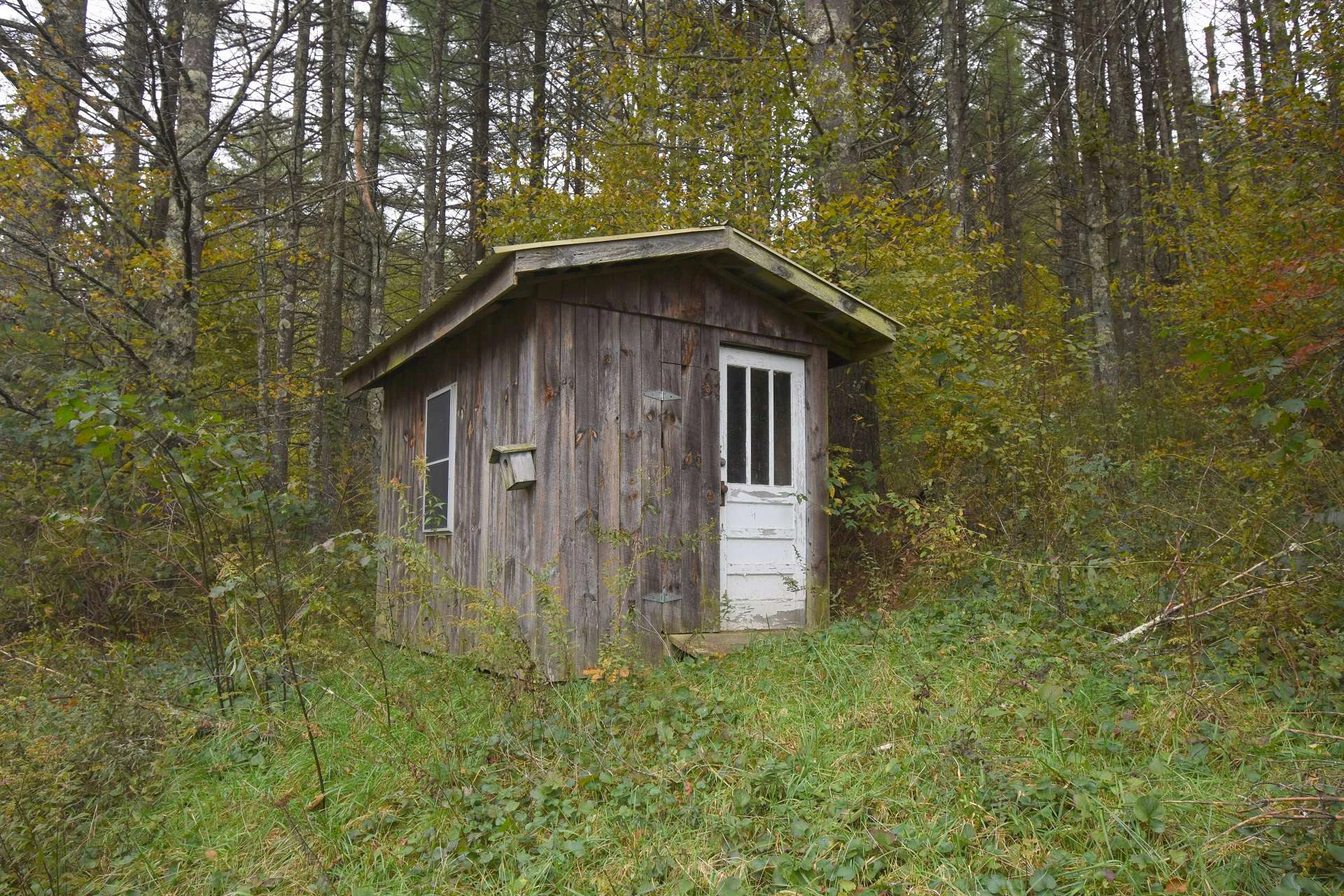 Image number 5 for the current listing