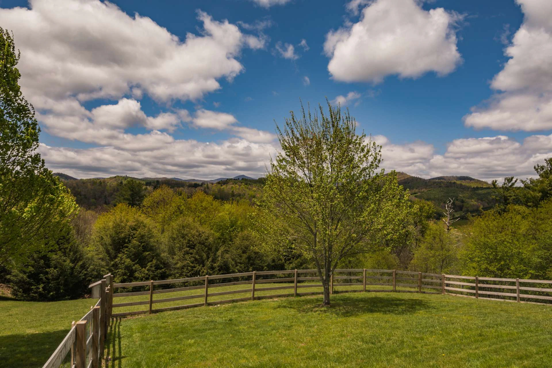 Image number 7 for the current listing