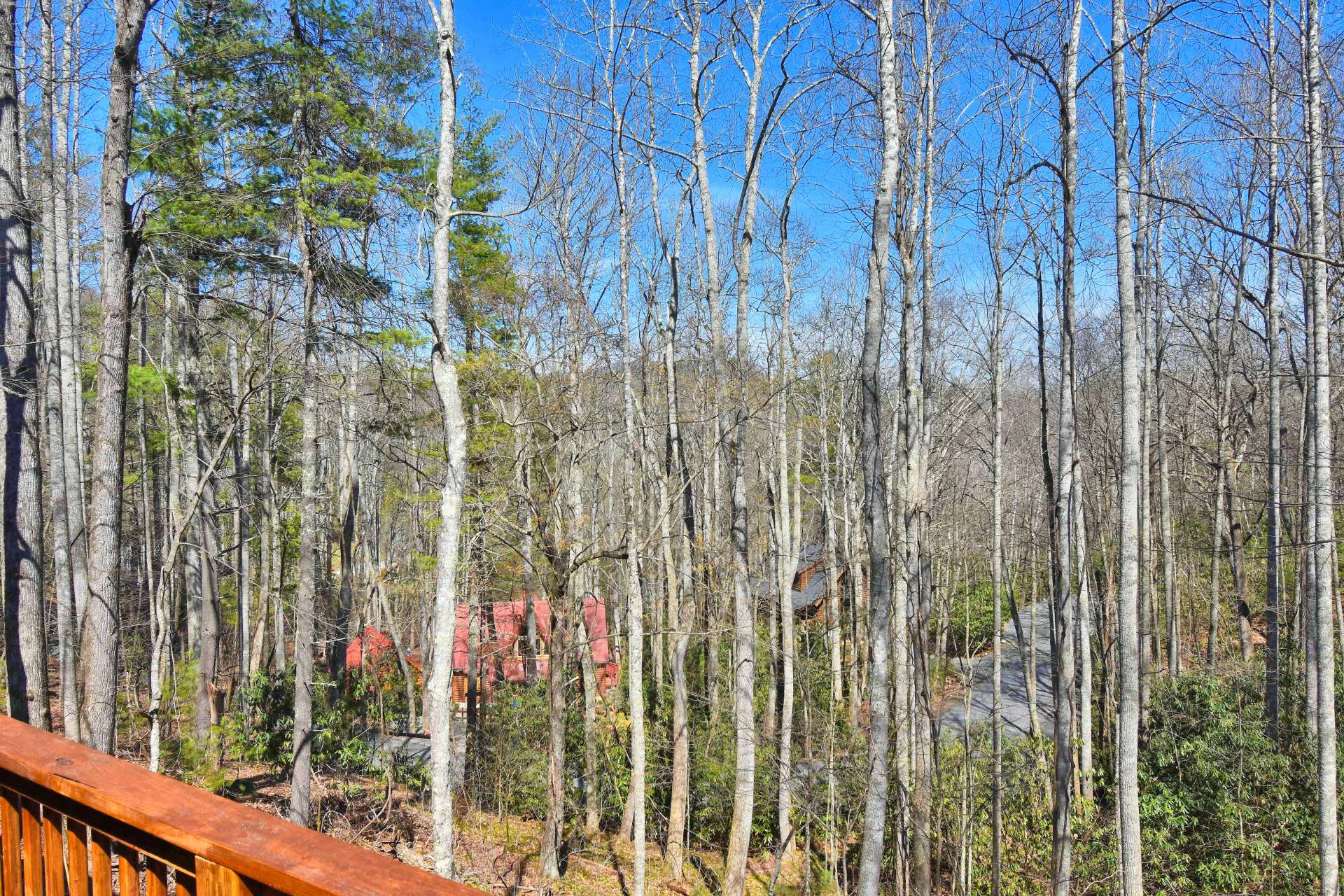 Image number 5 for the current listing