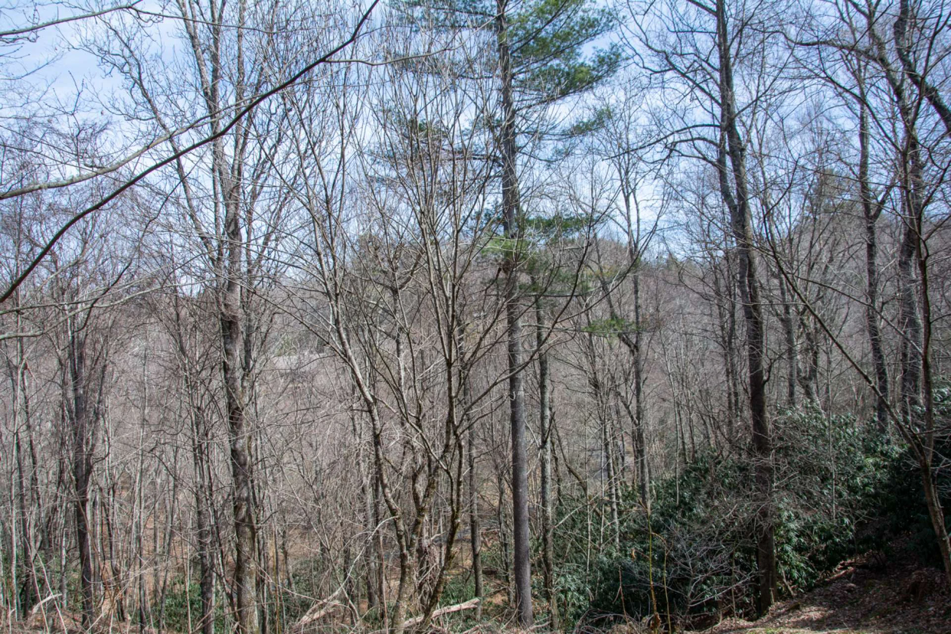 Image number 3 for the current listing
