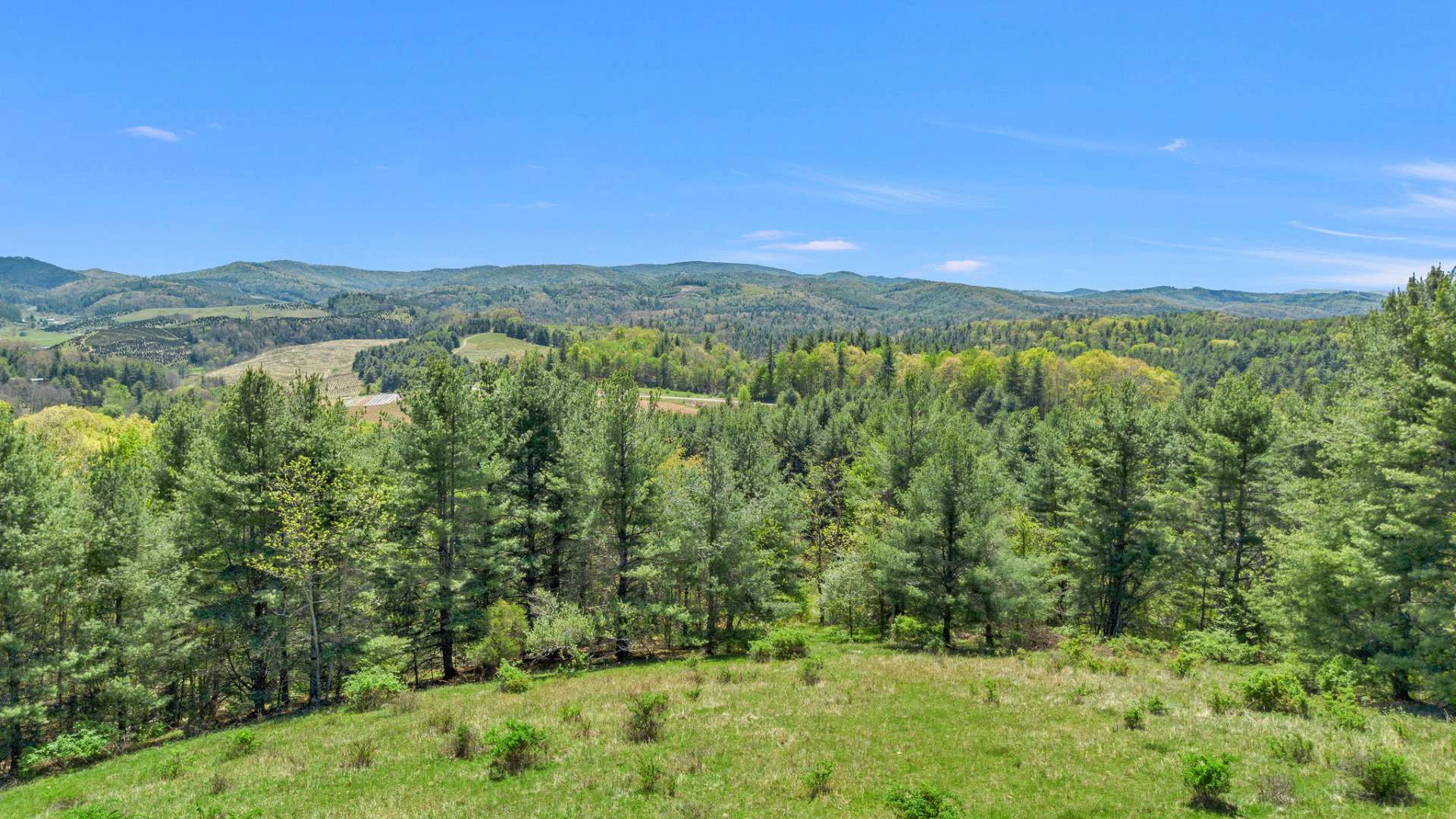 Image number 1 for the current listing