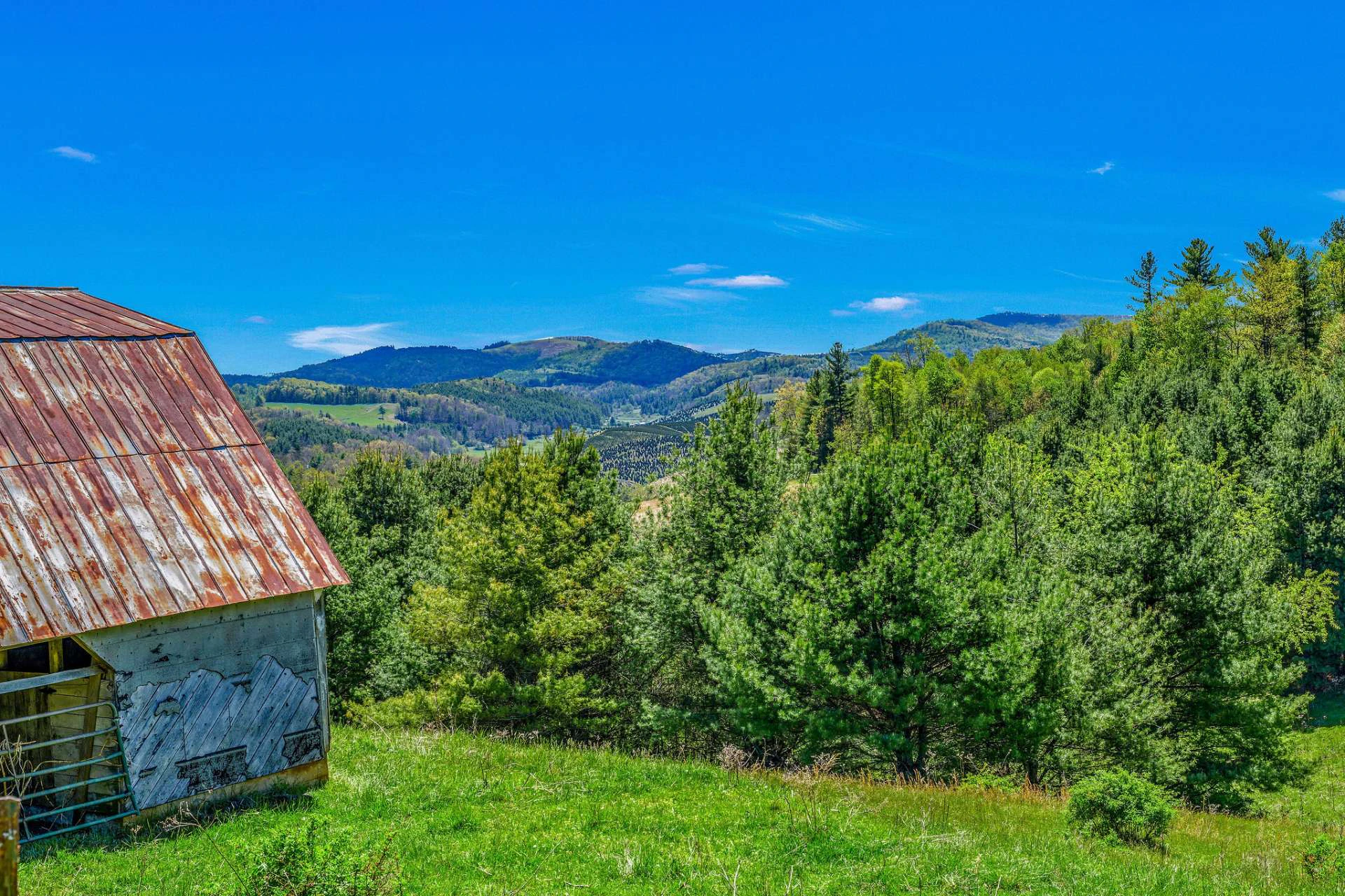Image number 5 for the current listing