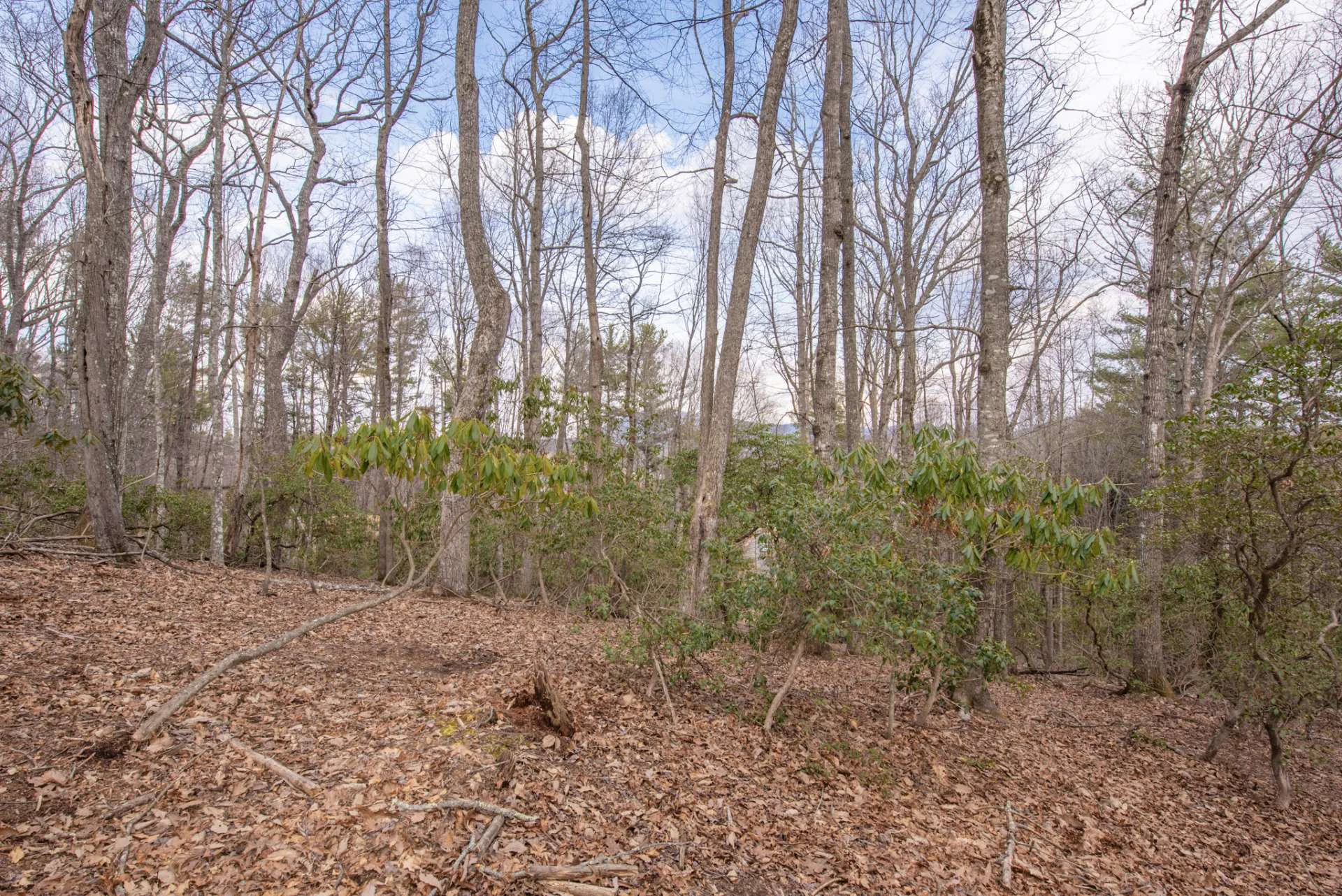 Image number 2 for the current listing