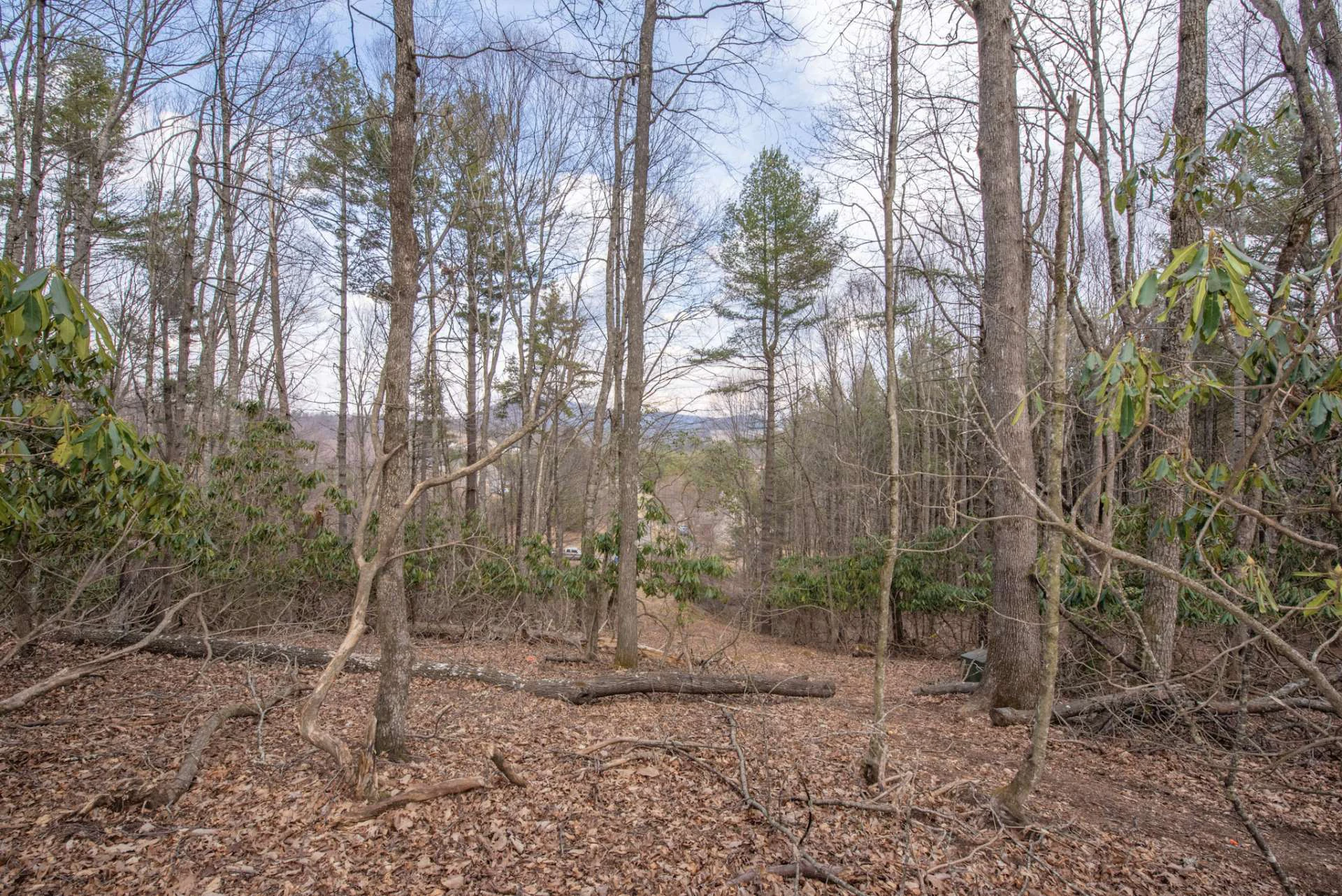 Image number 4 for the current listing