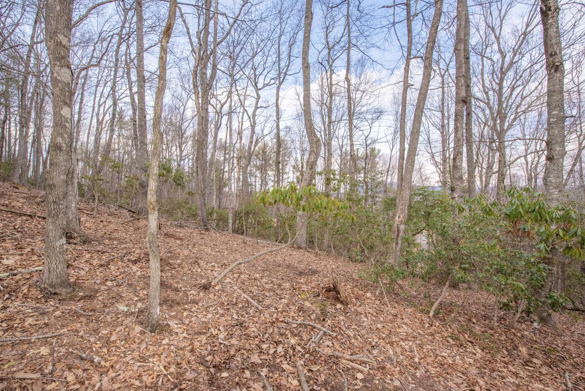Image number 5 for the current listing