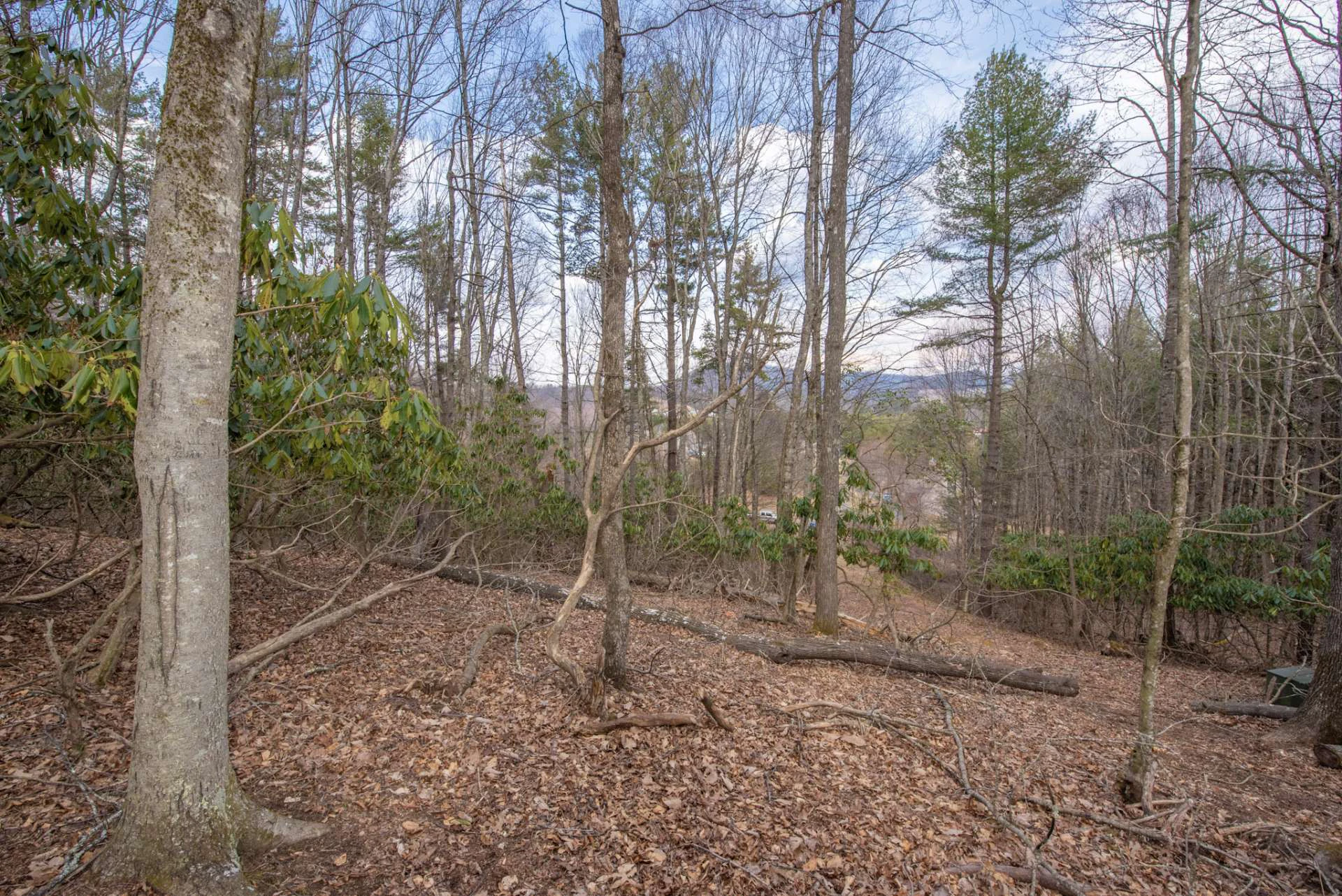 Image number 6 for the current listing