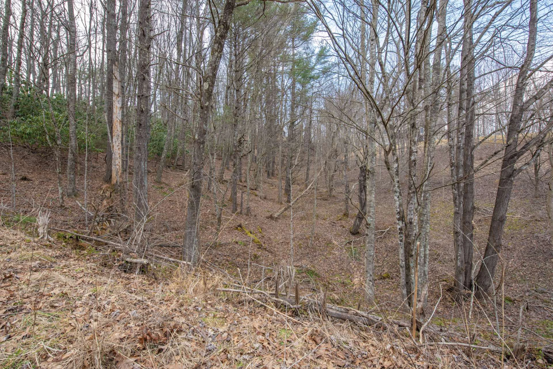 Image number 10 for the current listing