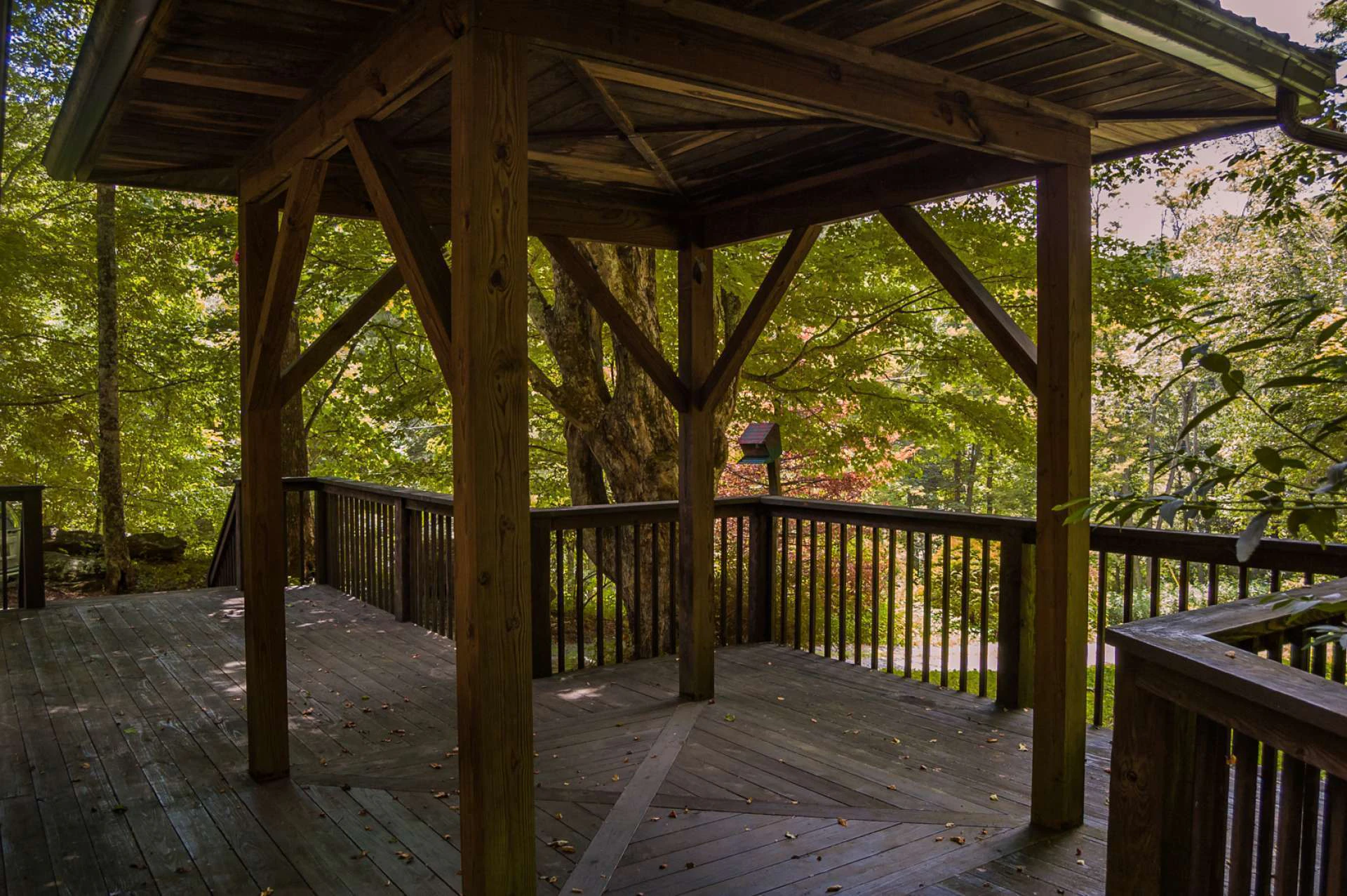 Image number 4 for the current listing