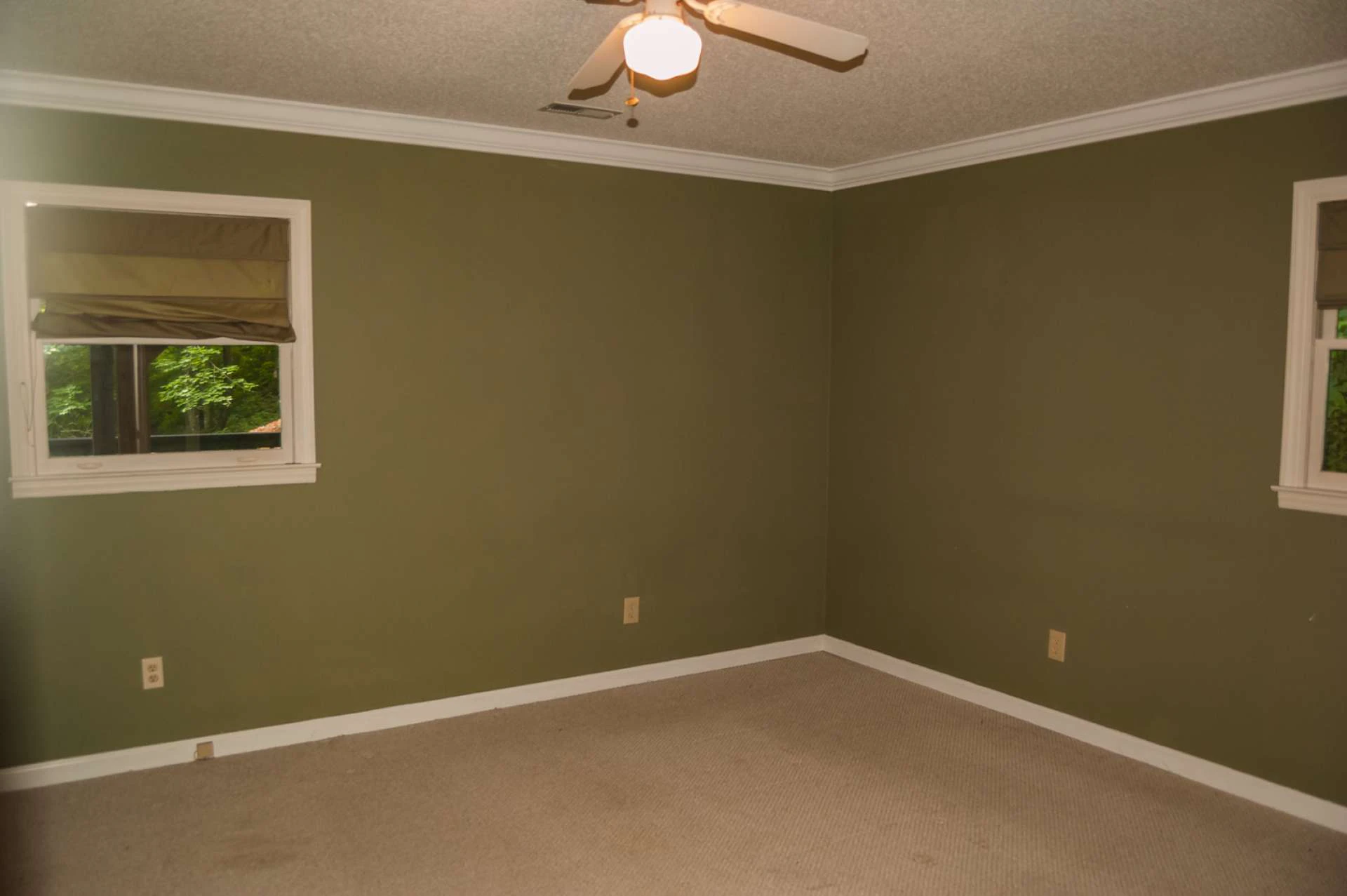 Image number 7 for the current listing