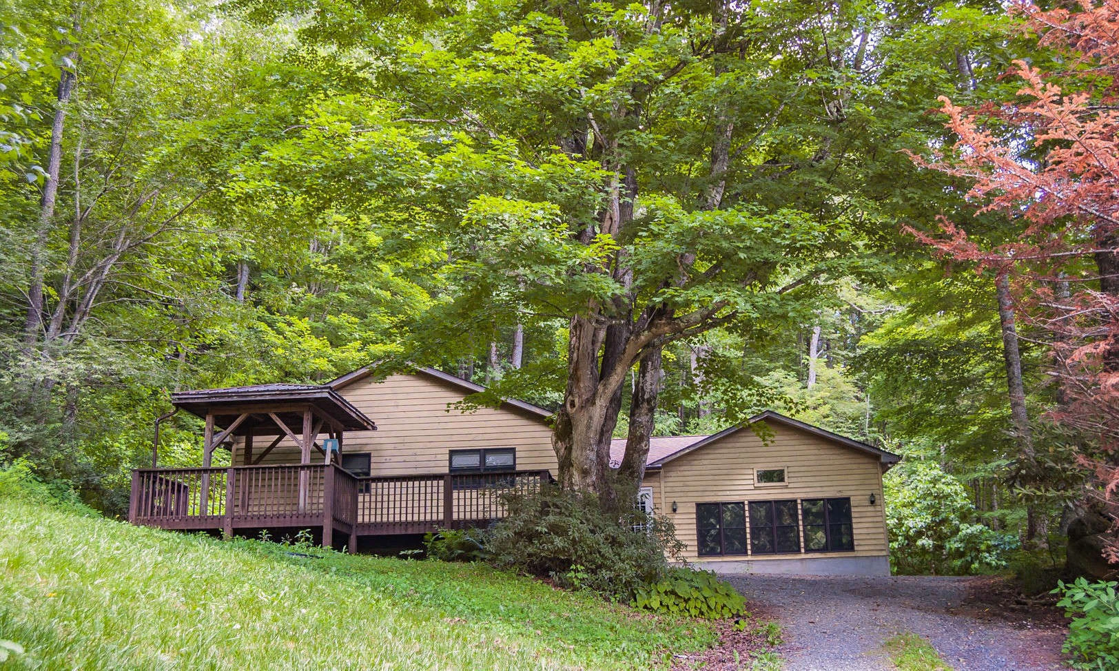 Image number 1 for the current listing