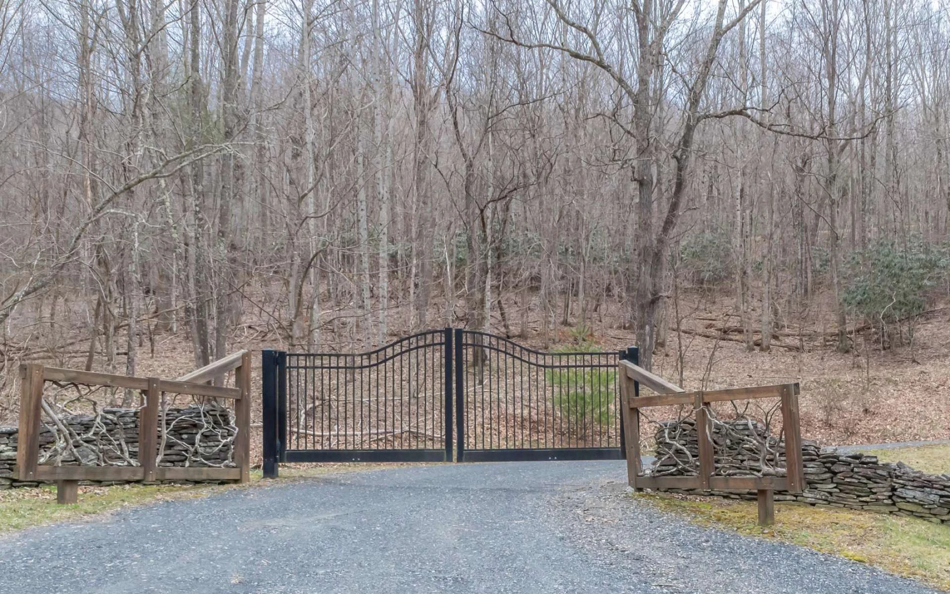 Image number 2 for the current listing