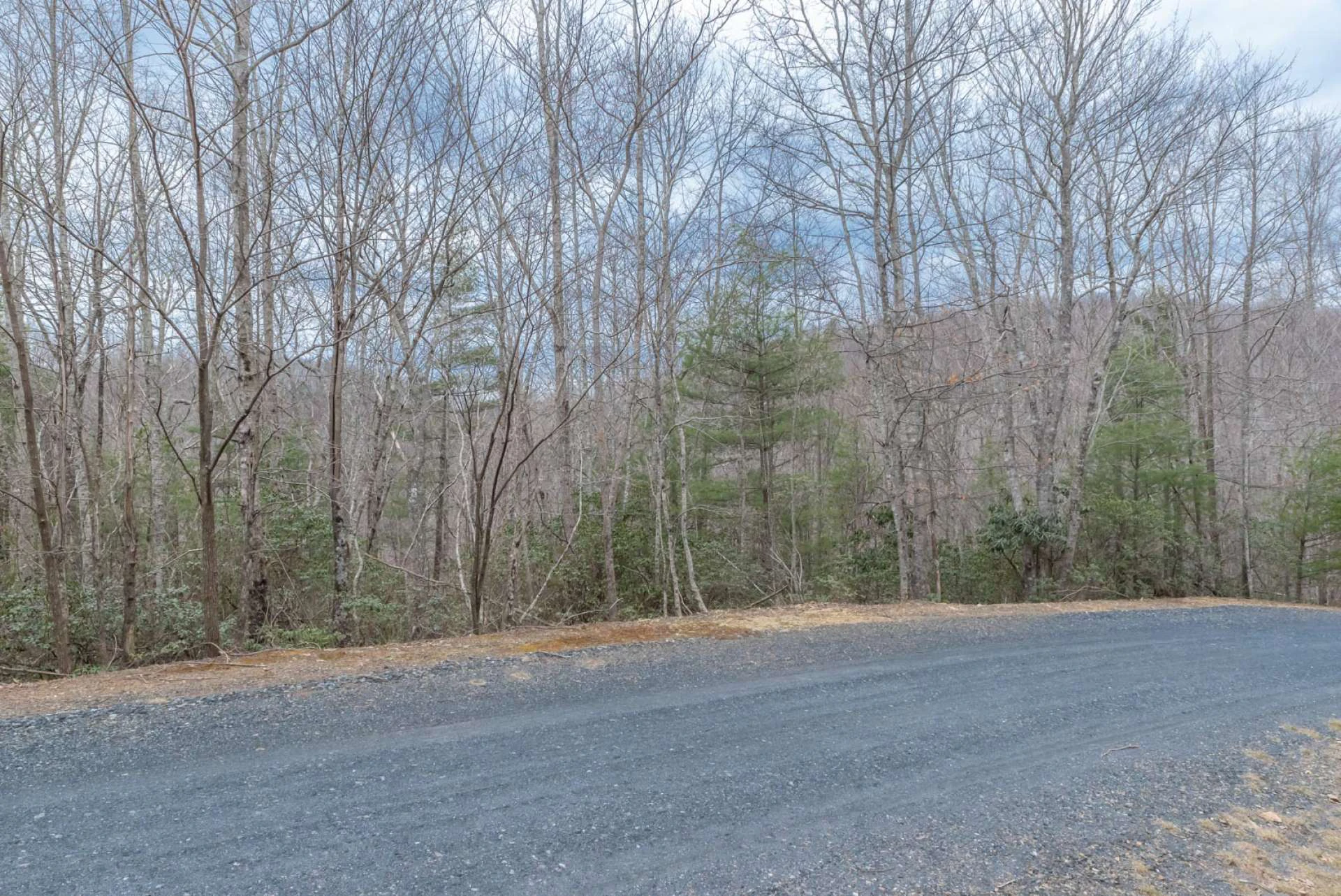 Image number 3 for the current listing