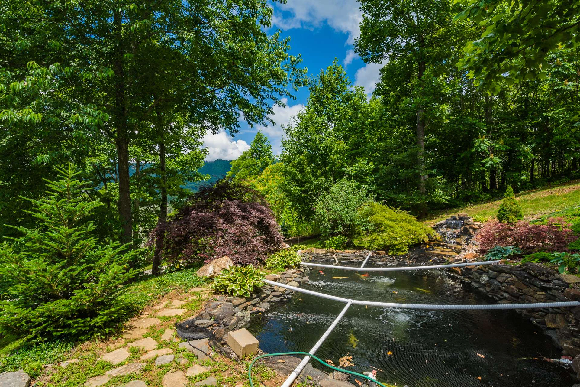 Image number 5 for the current listing