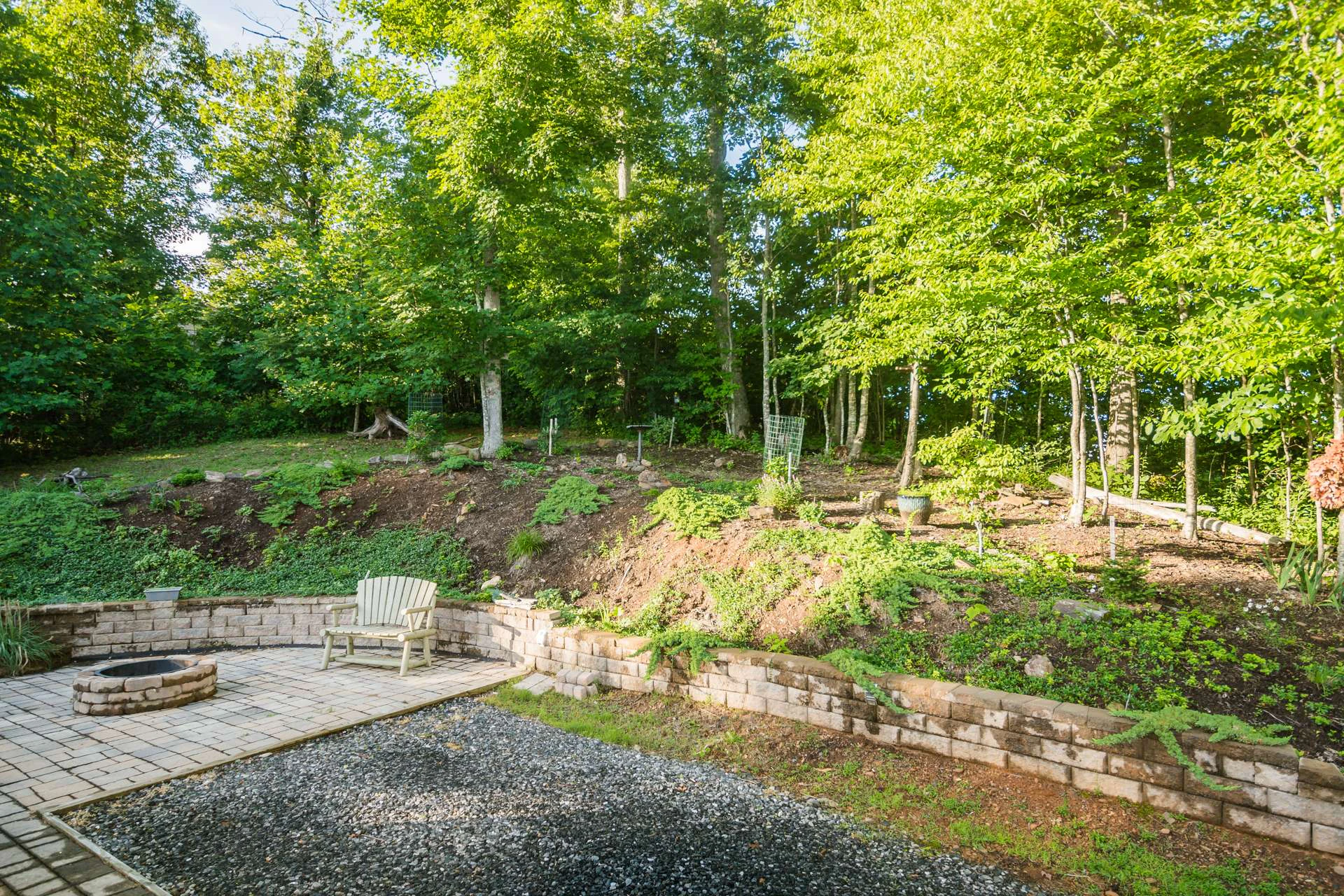 Image number 7 for the current listing