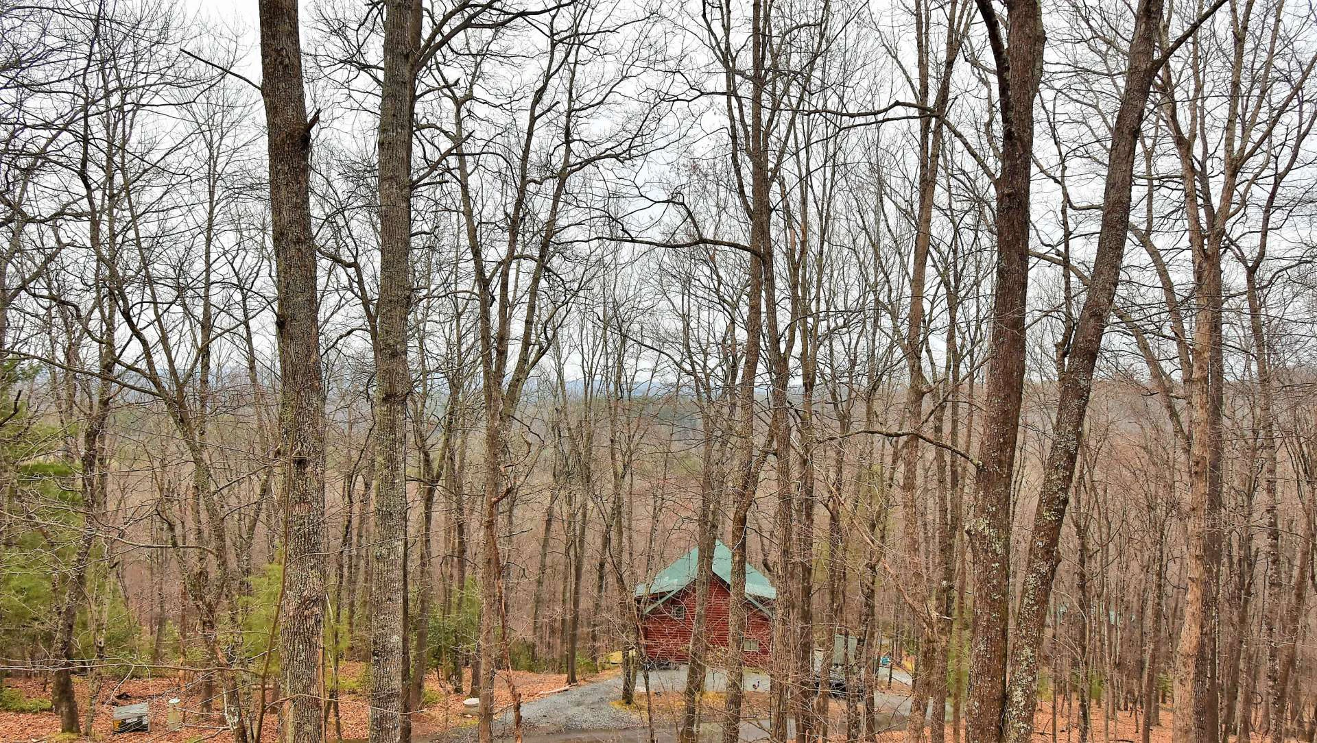 Image number 13 for the current listing