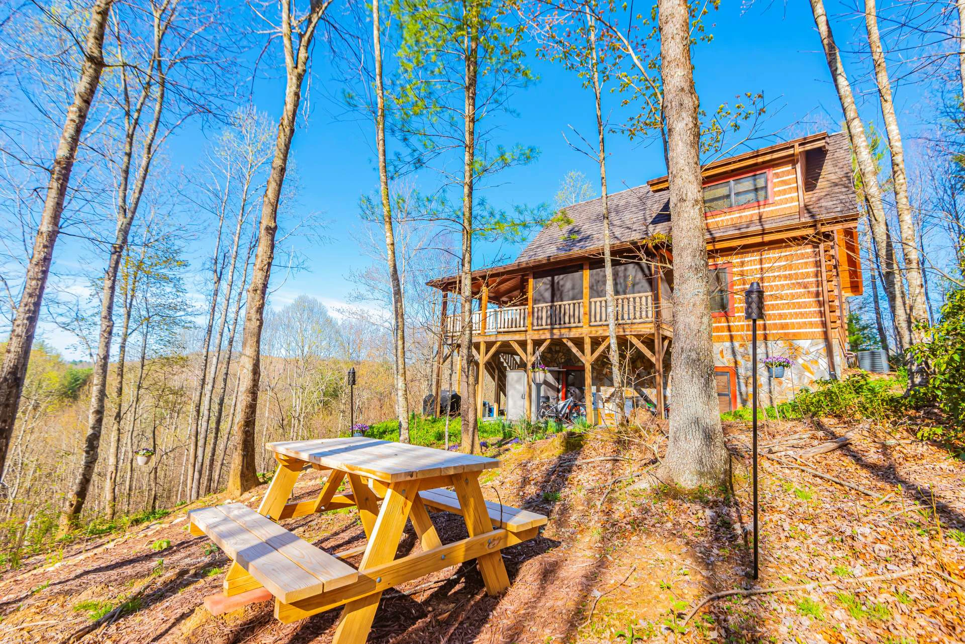 Image number 9 for the current listing
