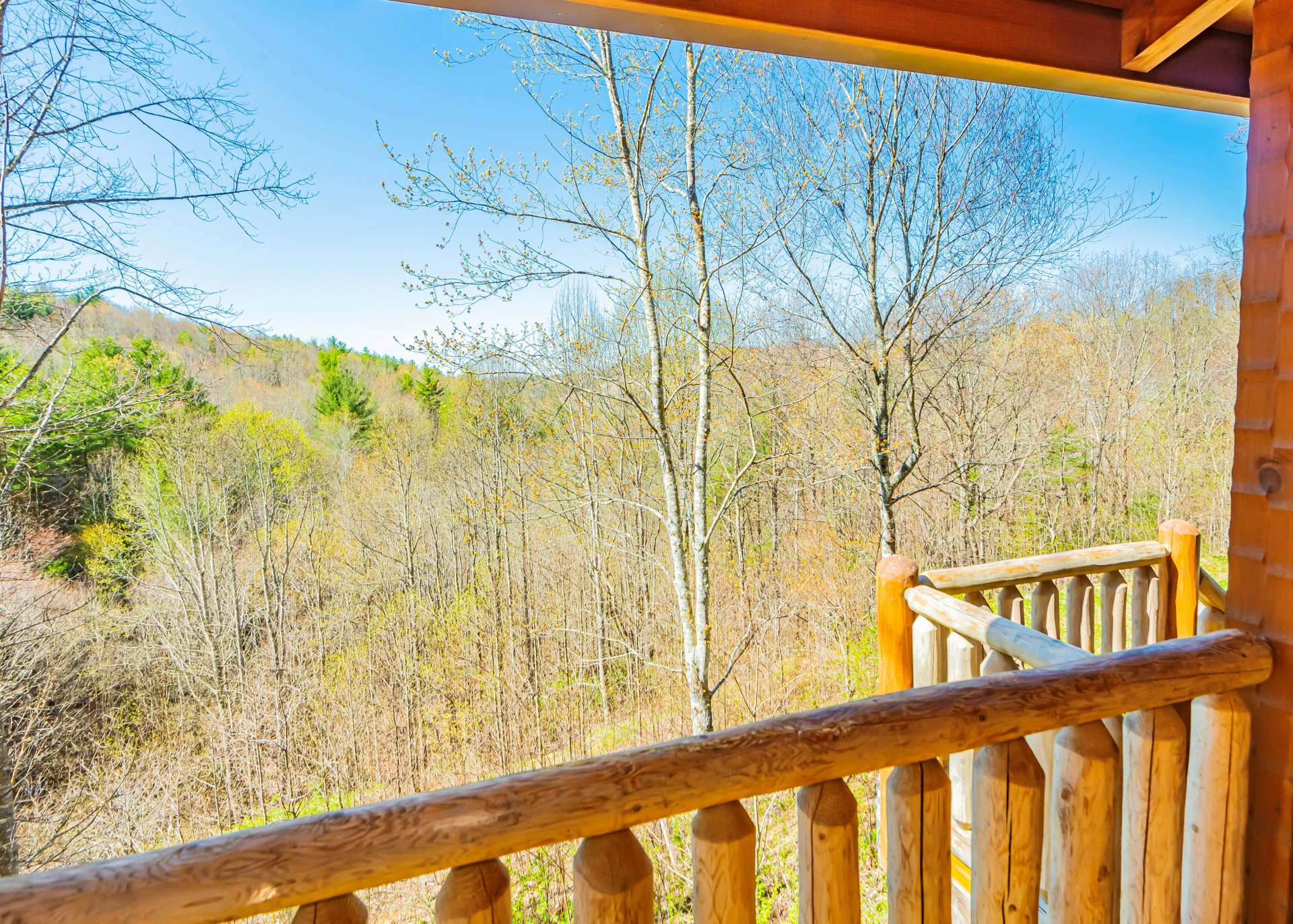 Image number 14 for the current listing
