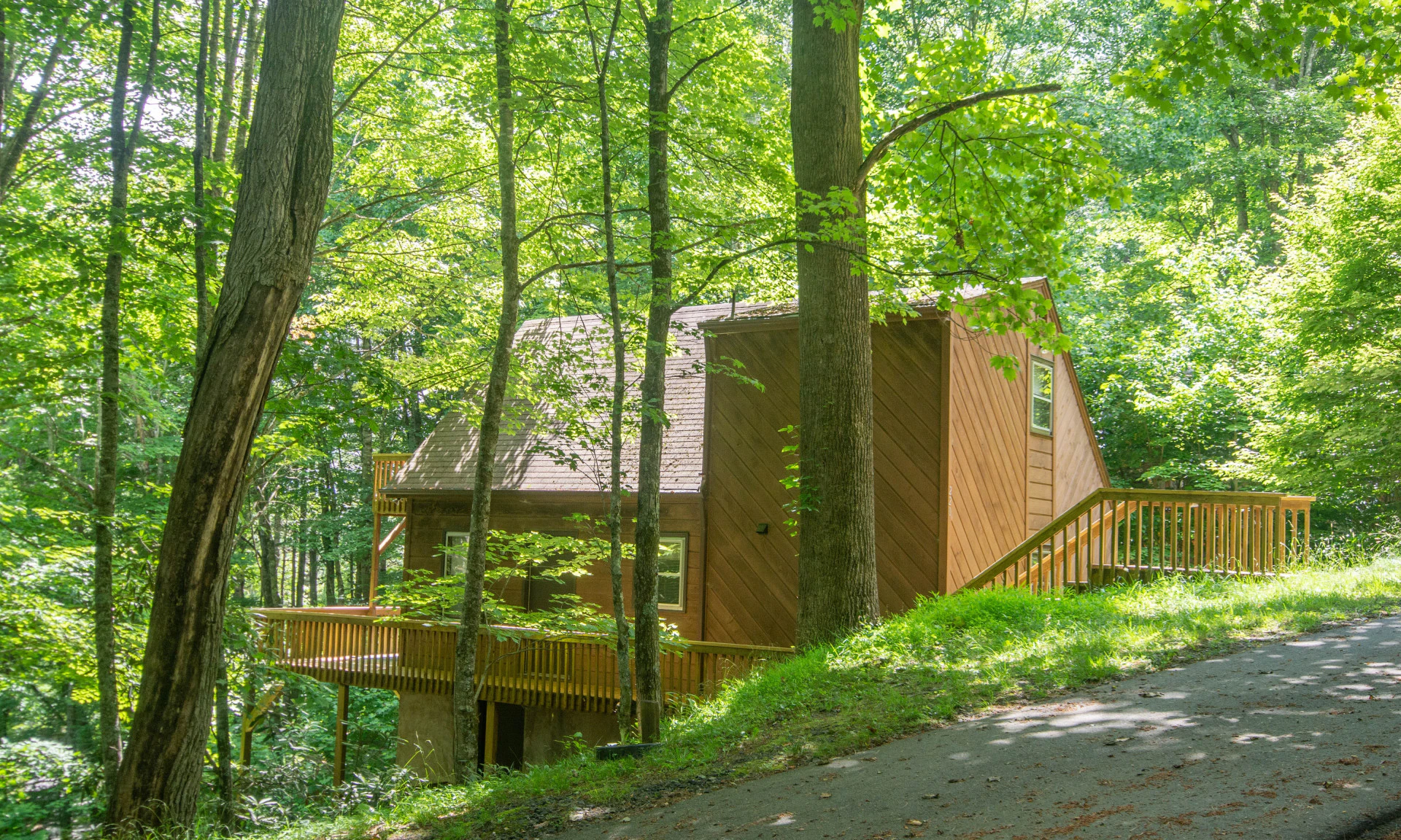 Image number 1 for the current listing