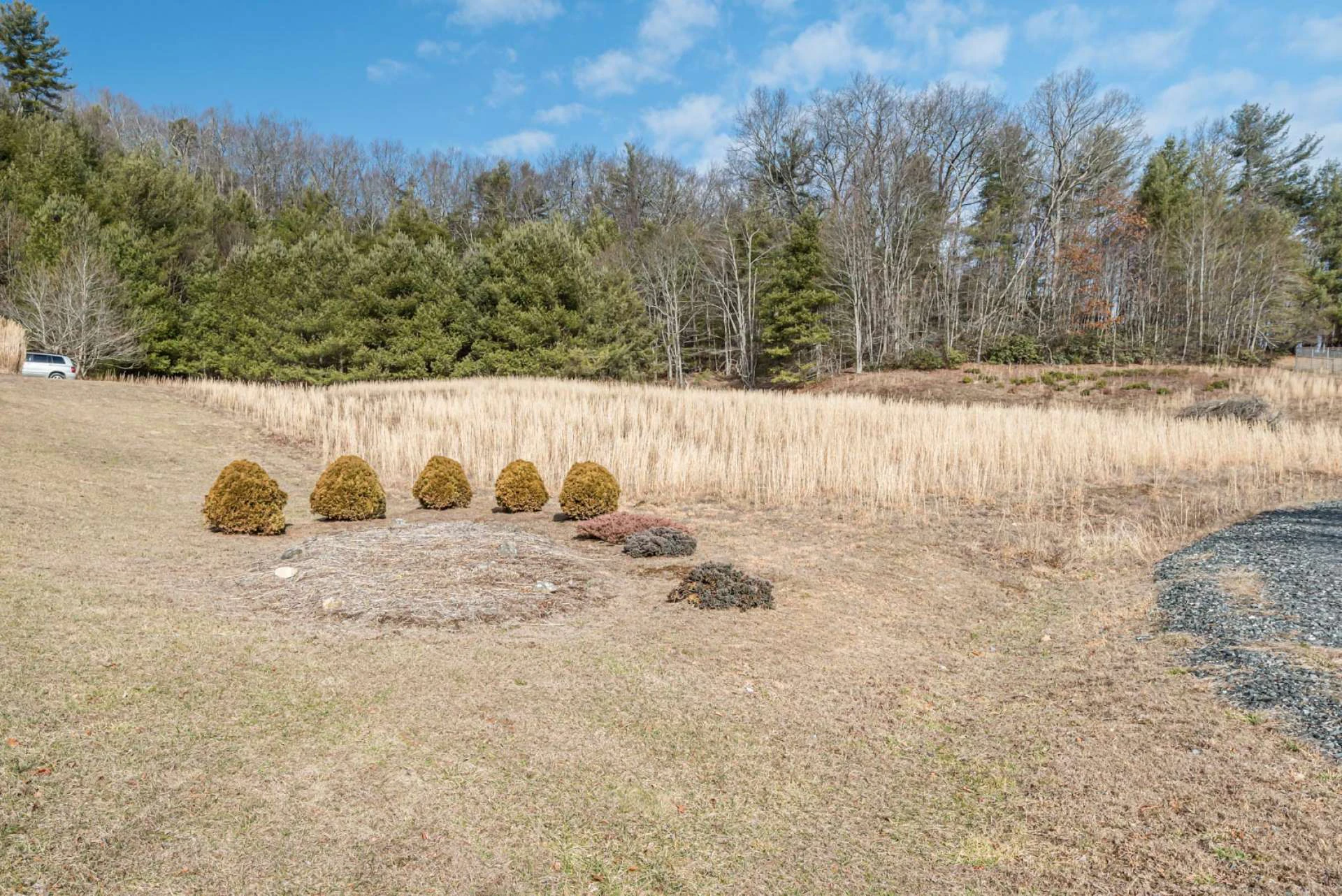 Image number 10 for the current listing