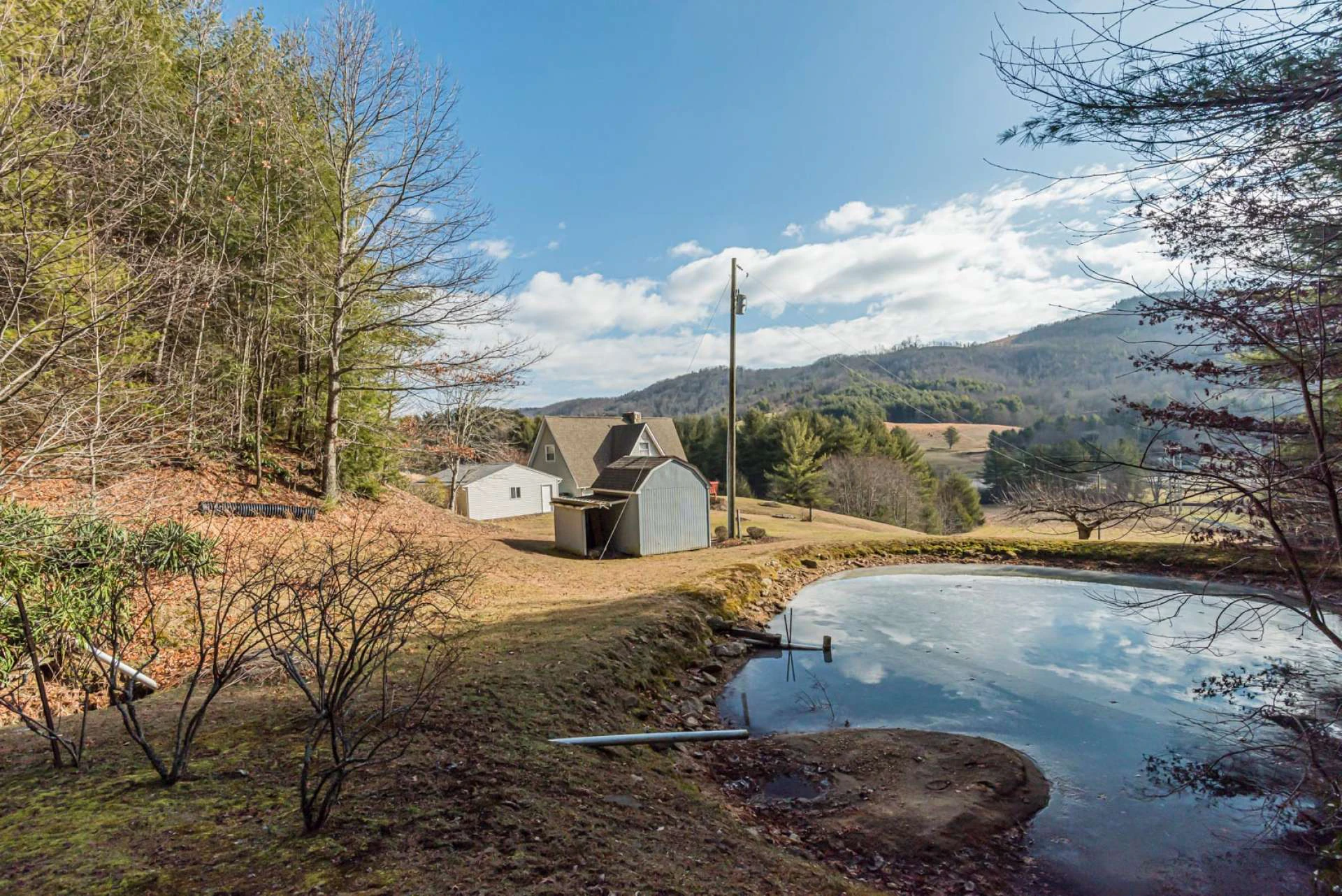 Image number 12 for the current listing