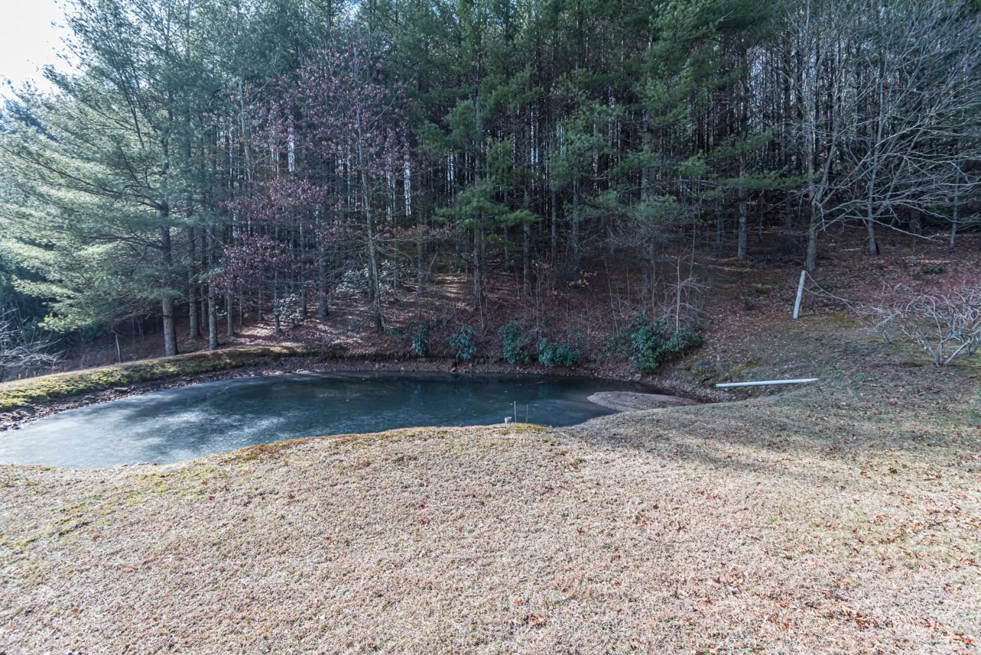 Image number 8 for the current listing