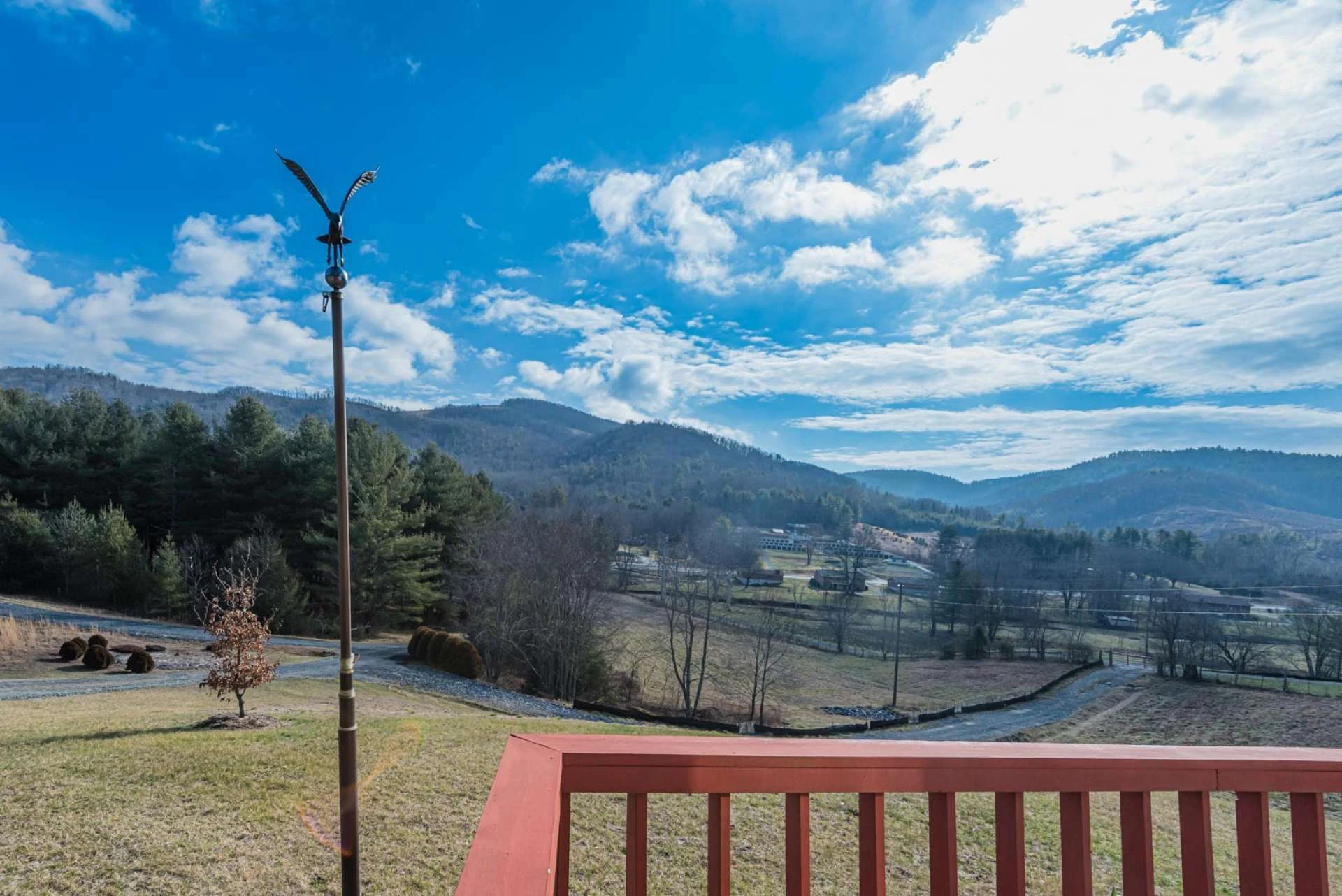 Image number 13 for the current listing