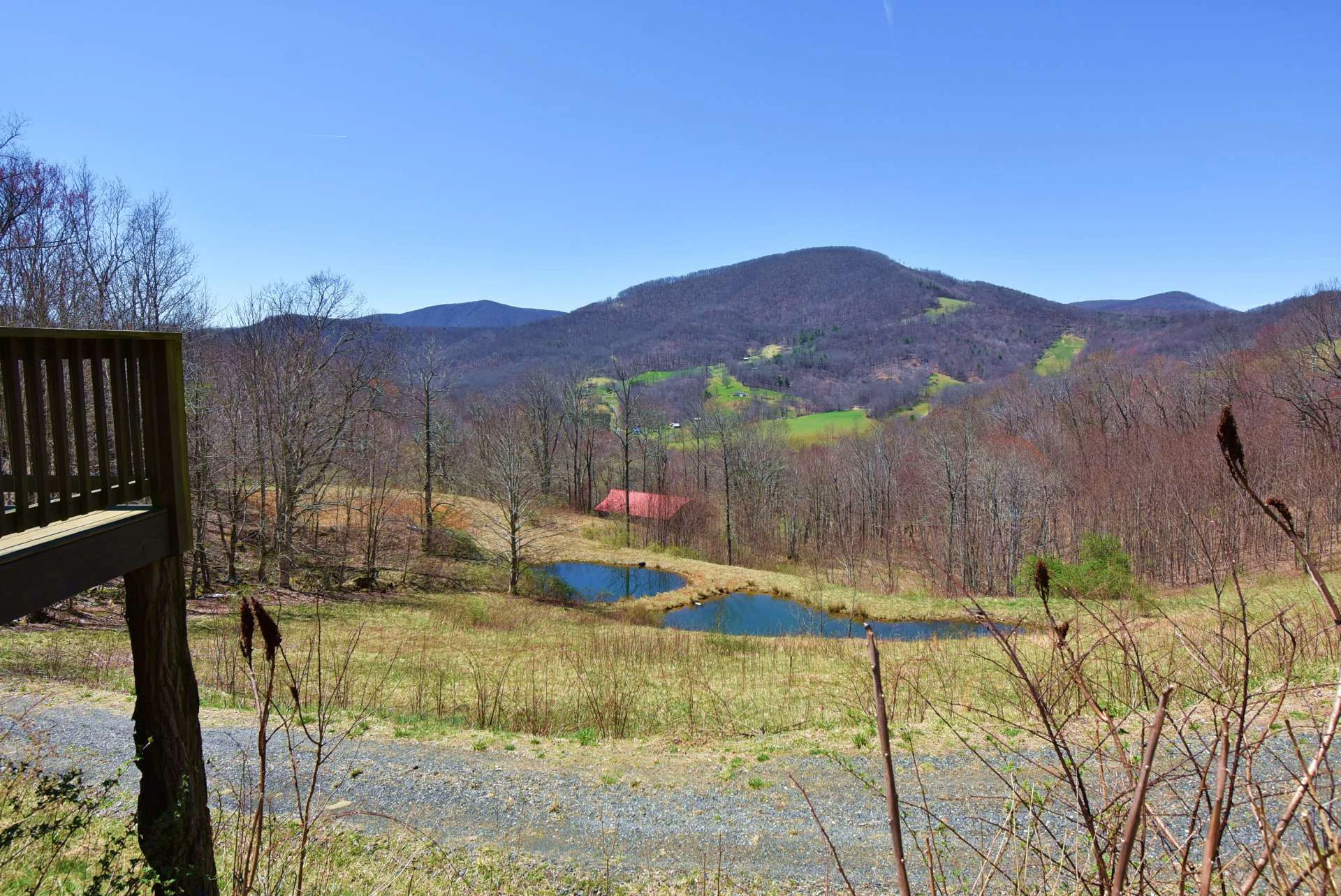 Image number 9 for the current listing