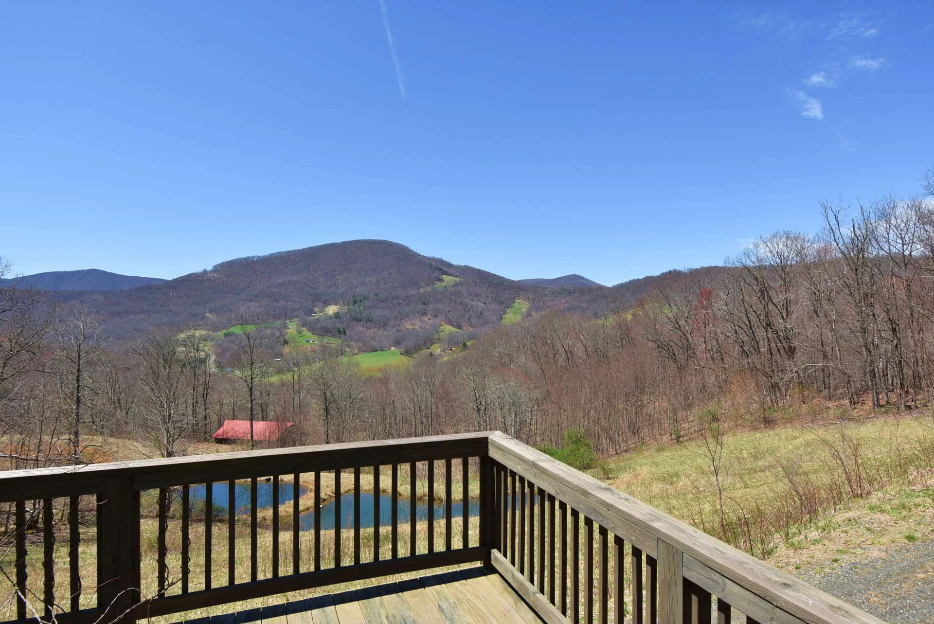 Image number 12 for the current listing