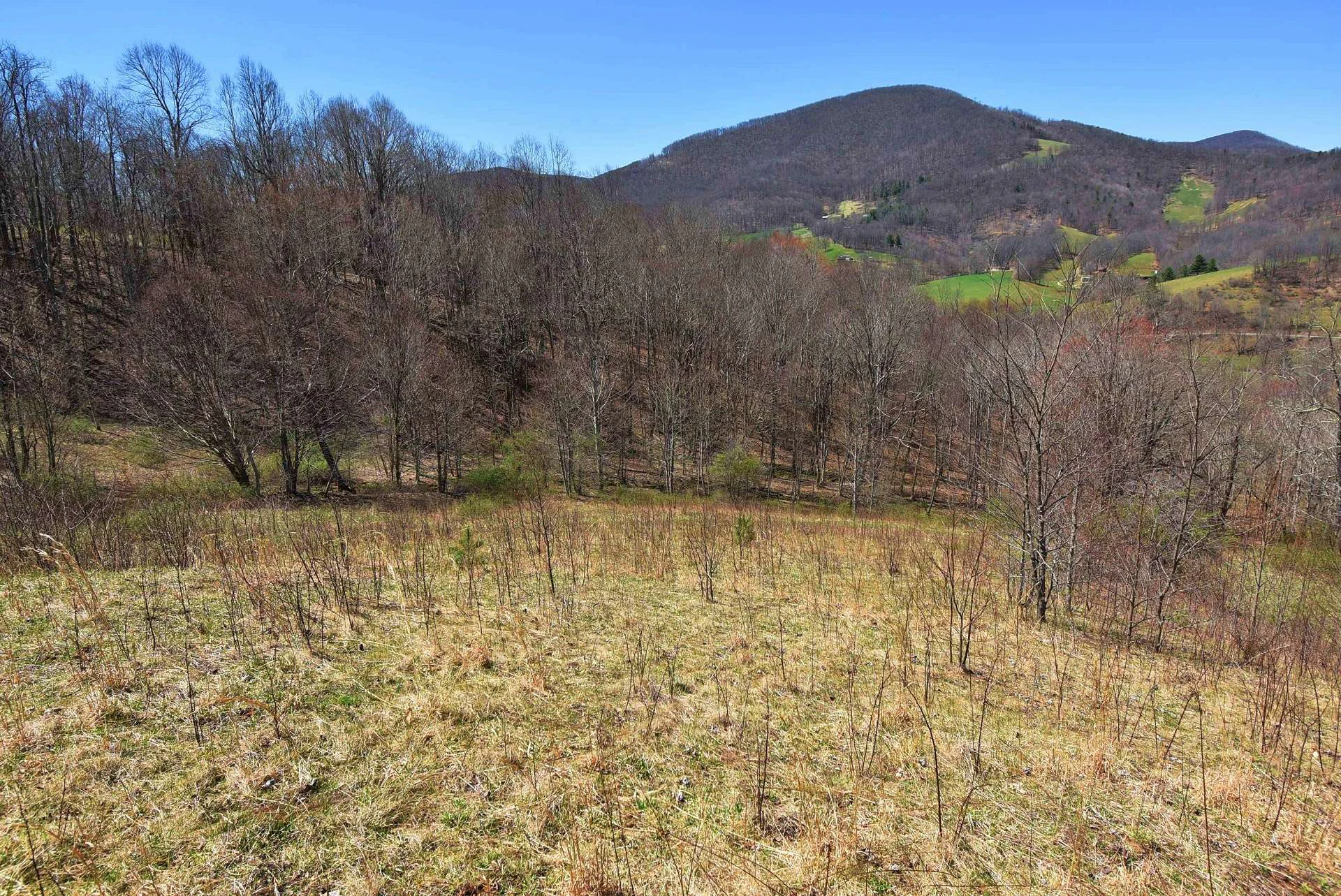 Image number 4 for the current listing
