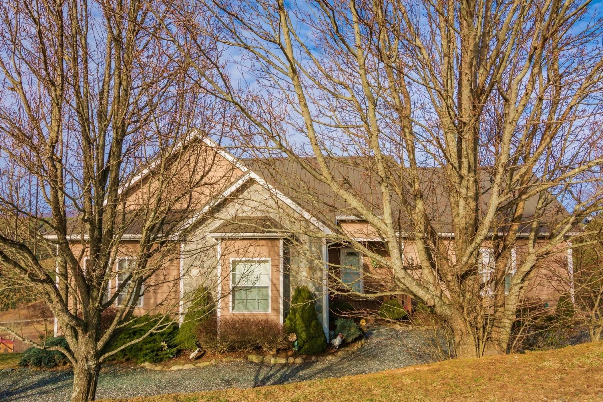 Image number 3 for the current listing