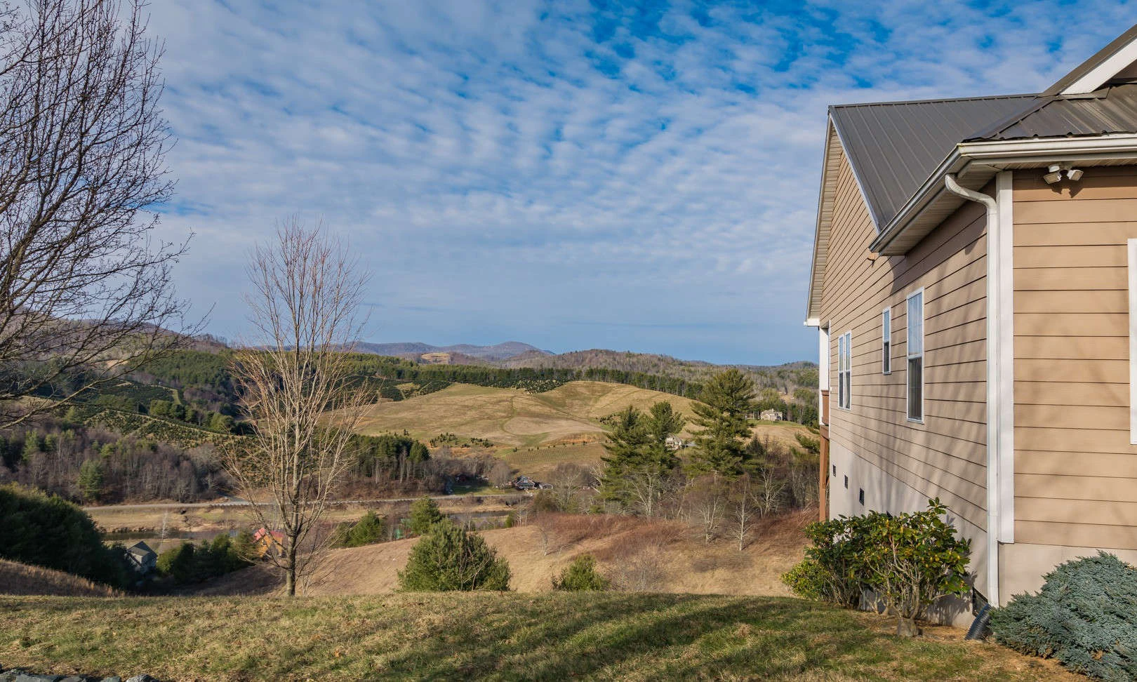 Image number 1 for the current listing