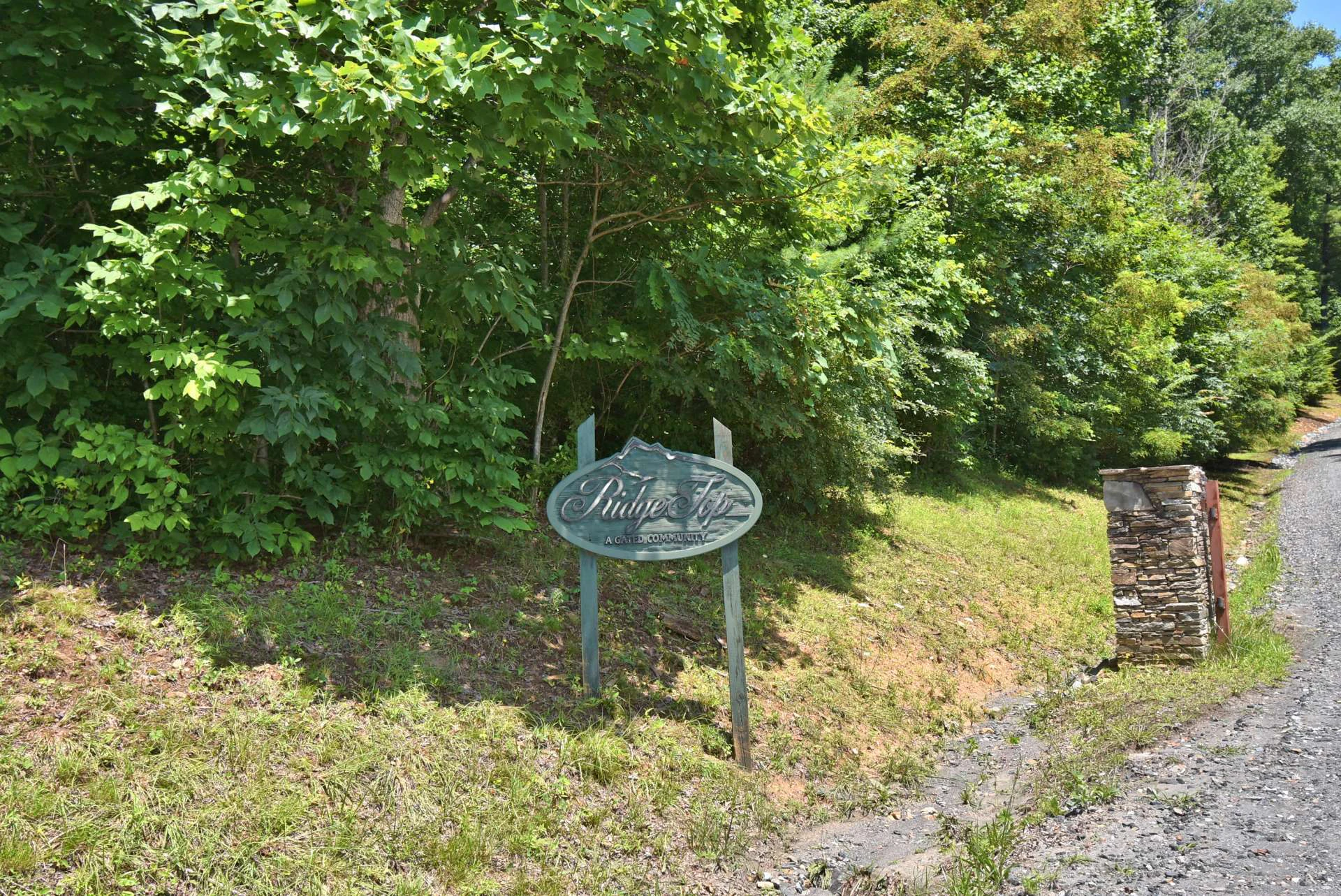 Image number 4 for the current listing