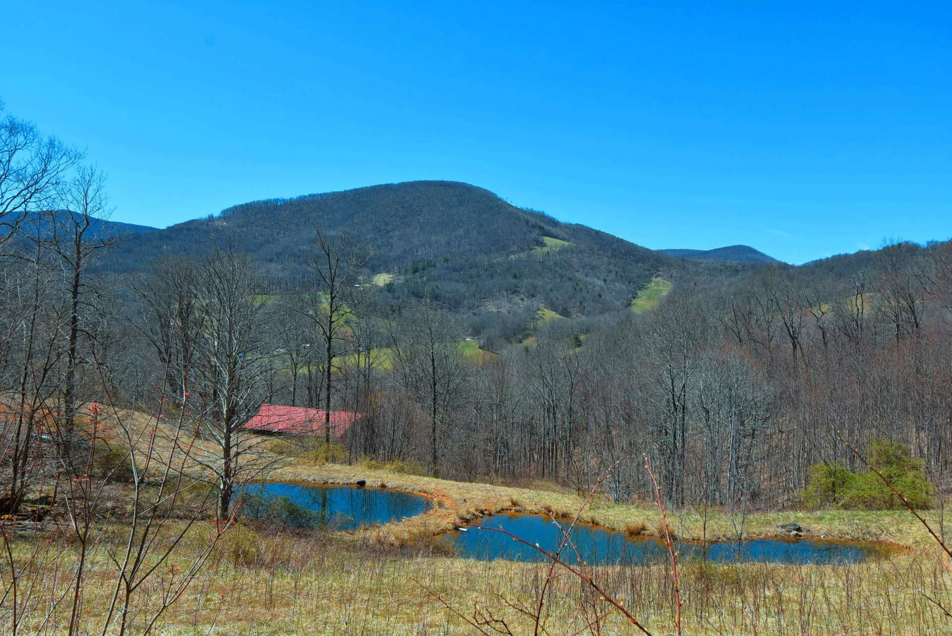 Image number 5 for the current listing