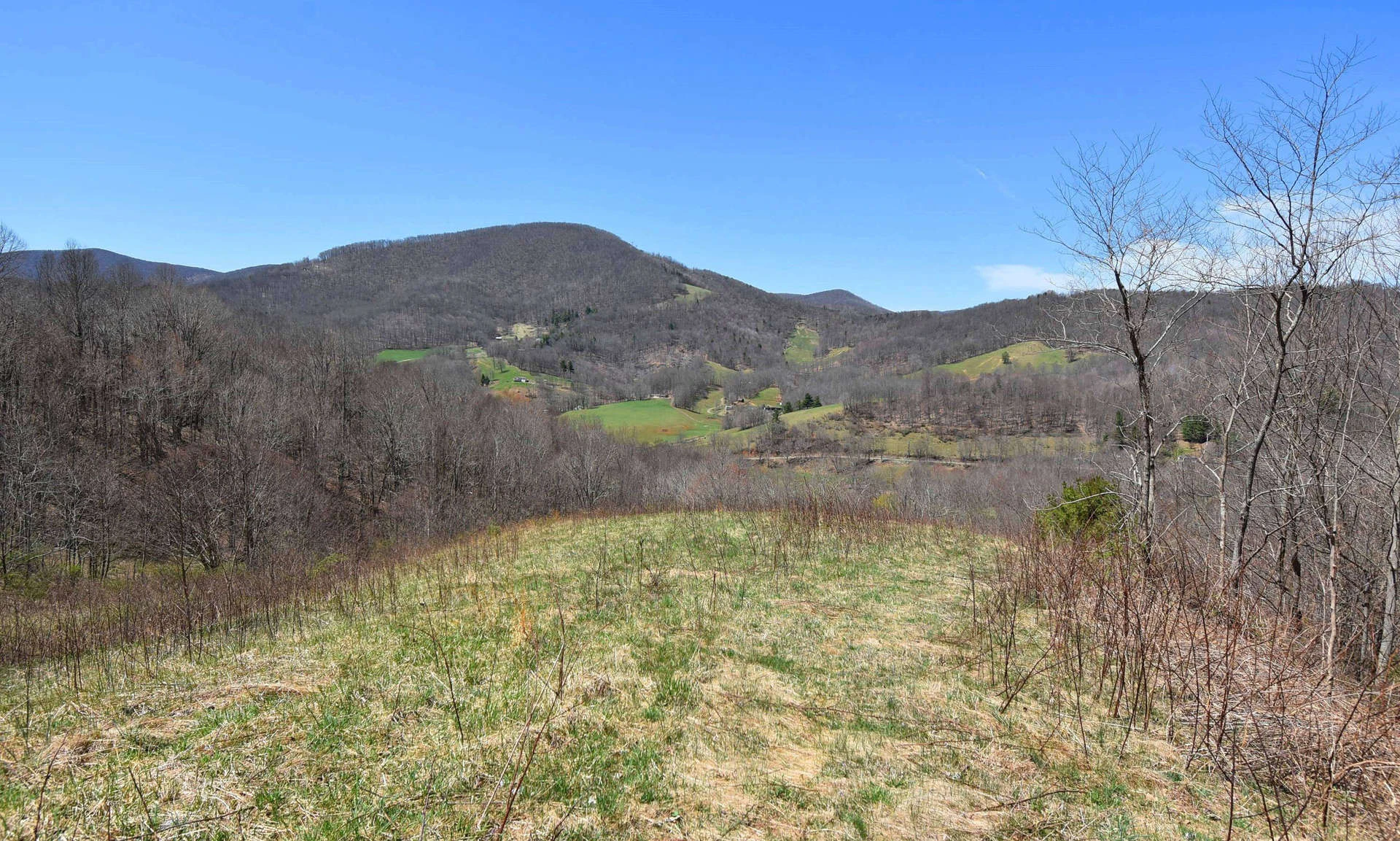 Image number 1 for the current listing