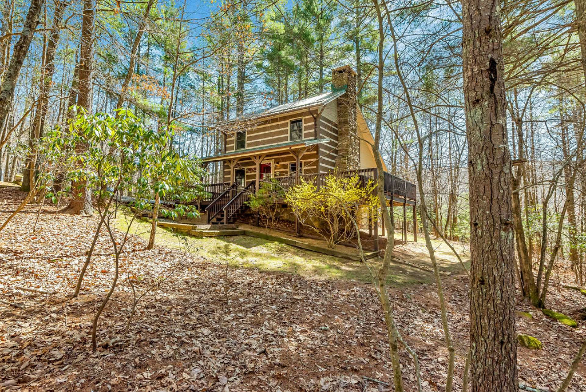 Image number 19 for the current listing